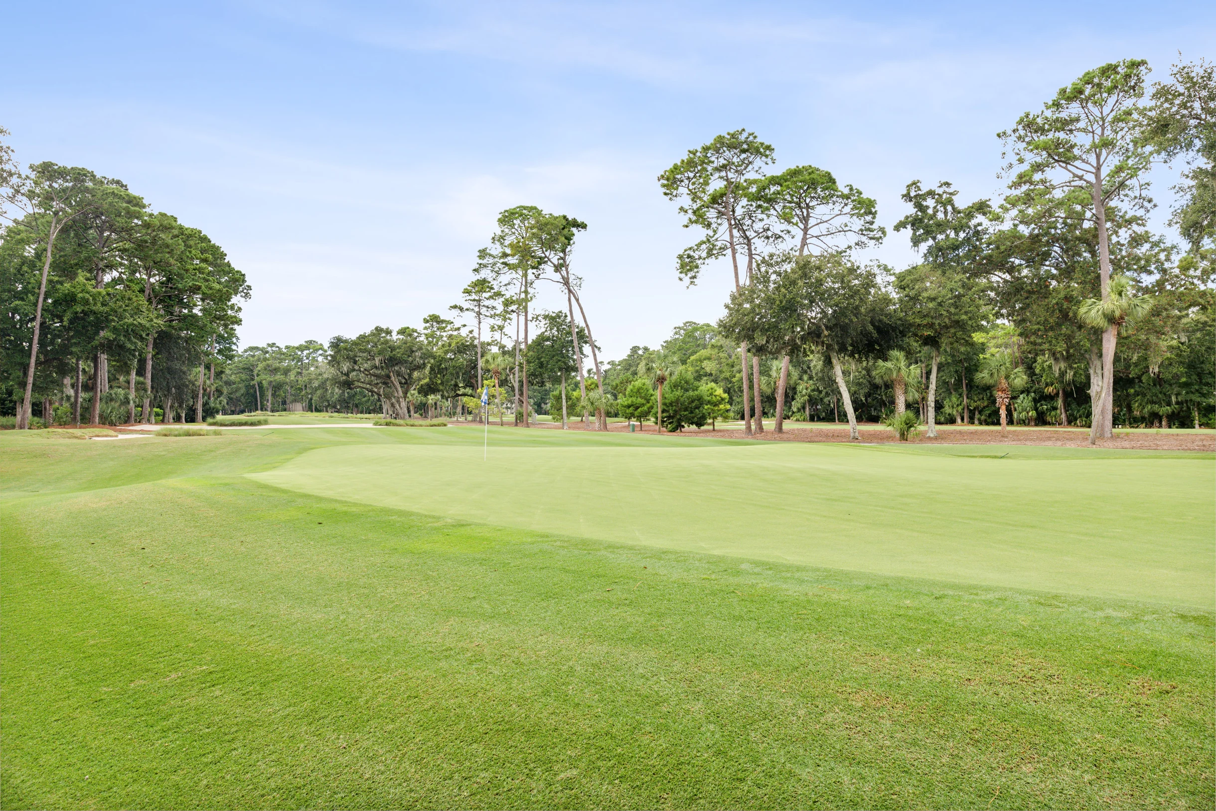 10 Willow Oak #92