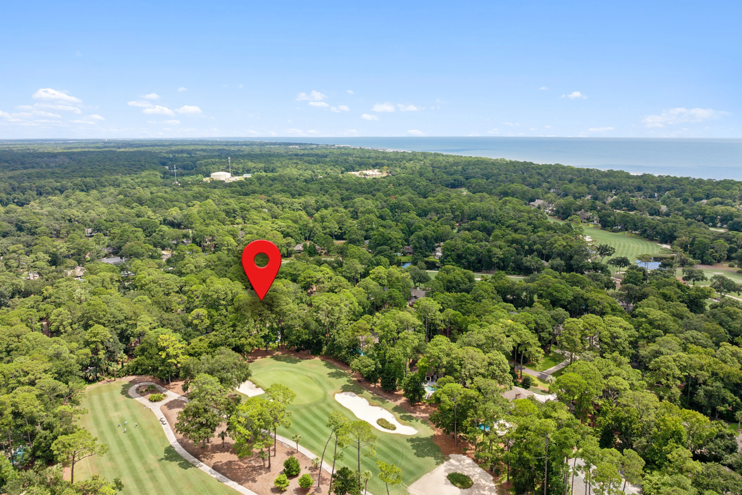 10 Willow Oak #81