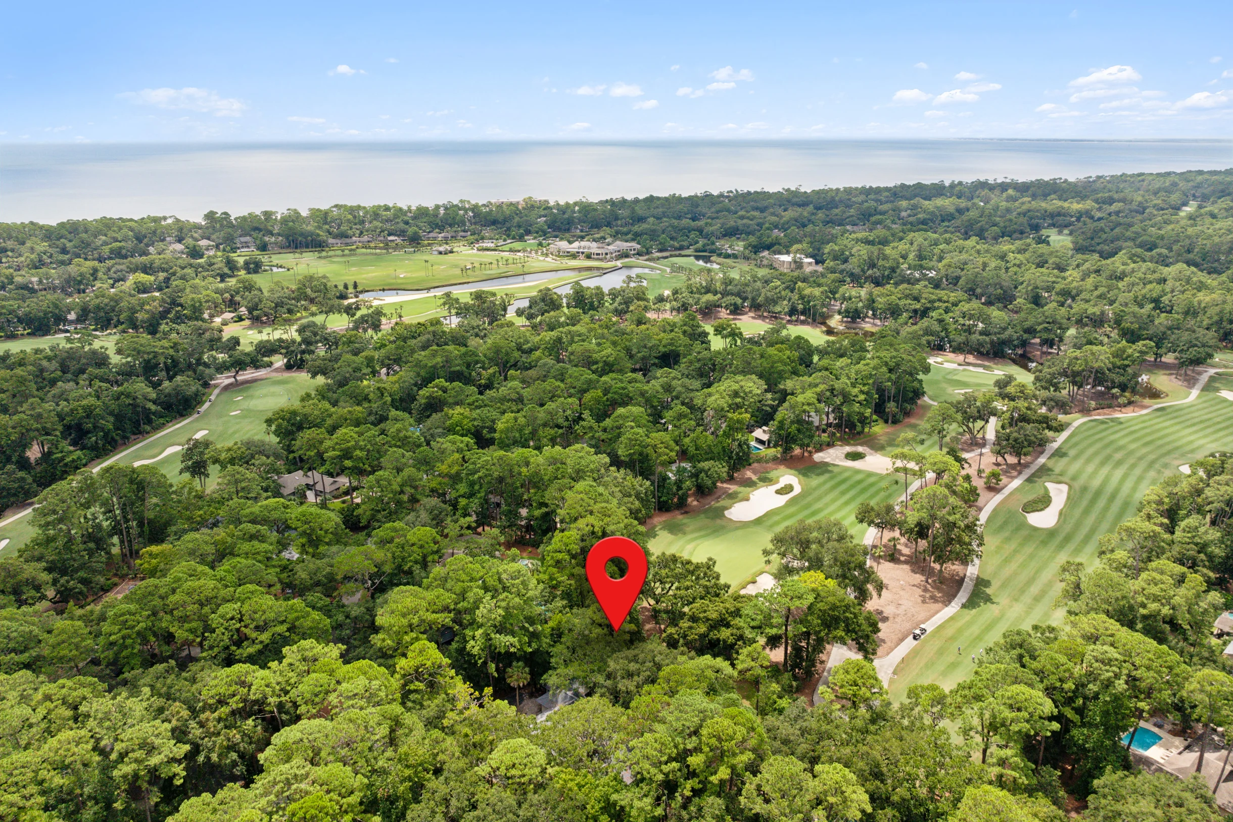 10 Willow Oak #79