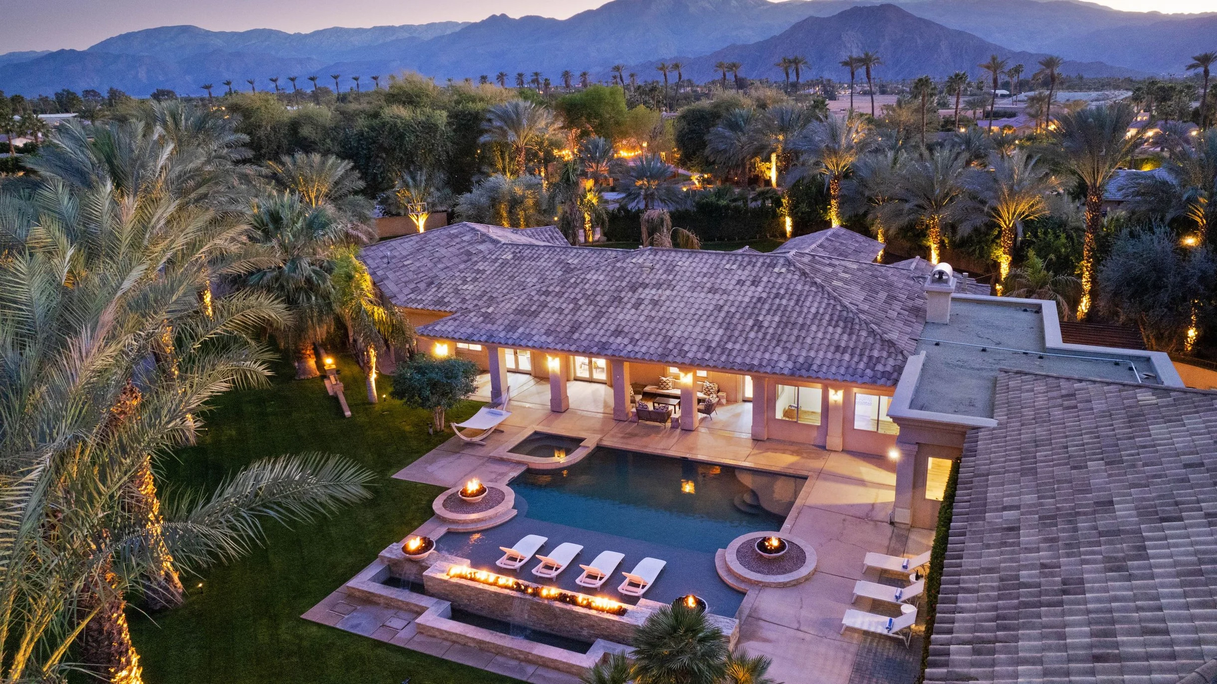 Wander Indio Date Palm #78