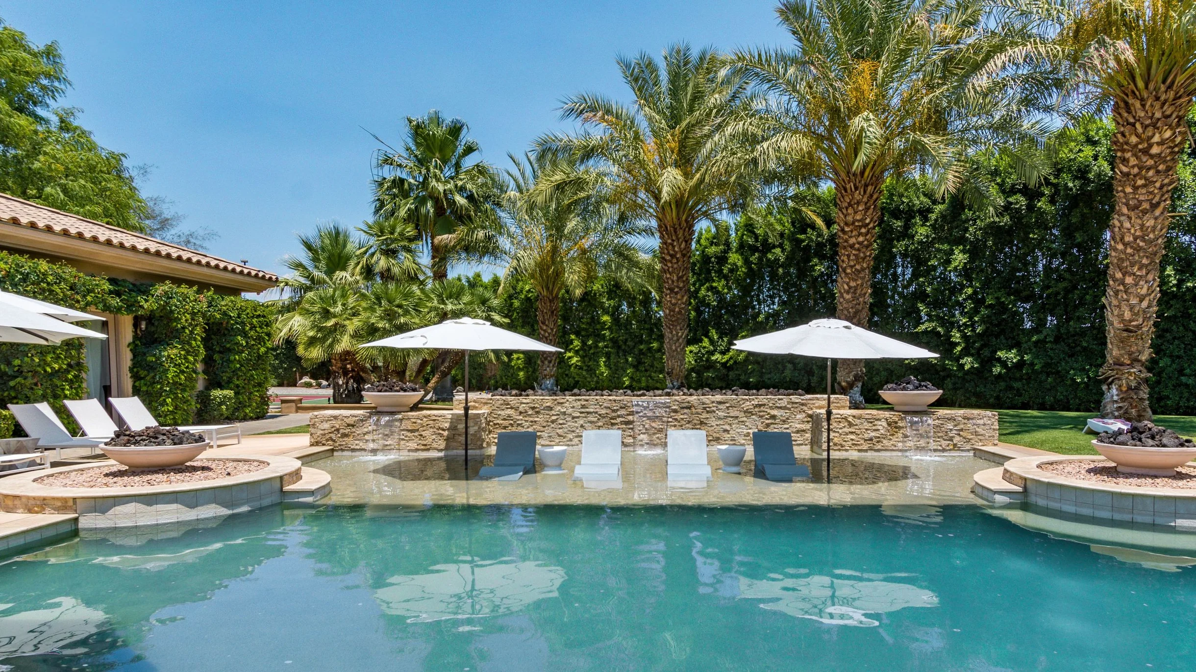 Wander Indio Date Palm #85