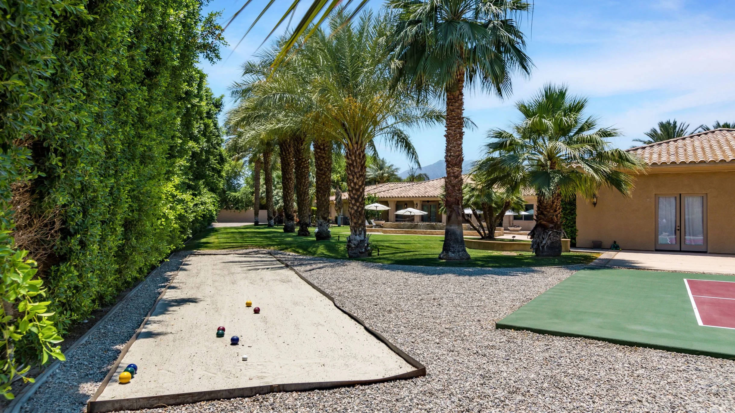 Wander Indio Date Palm #60