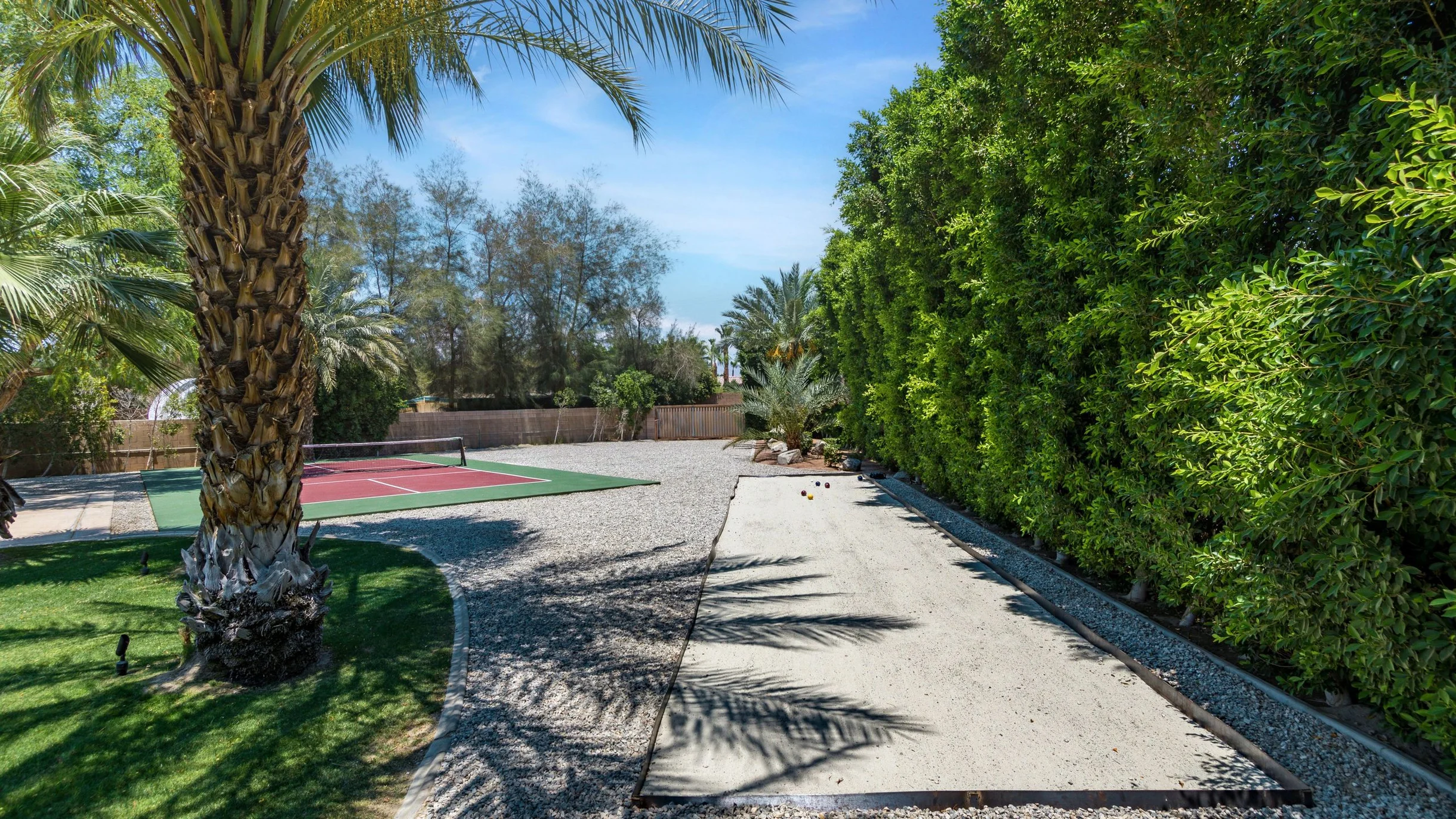 Wander Indio Date Palm #52