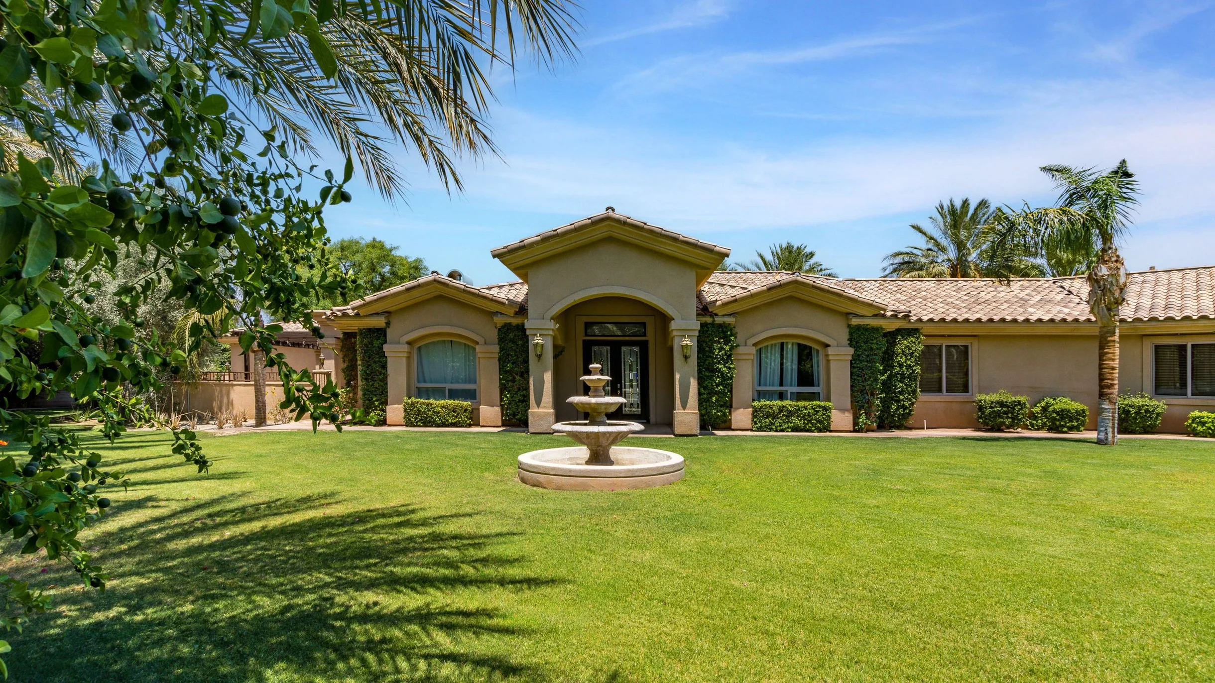 Wander Indio Date Palm #98