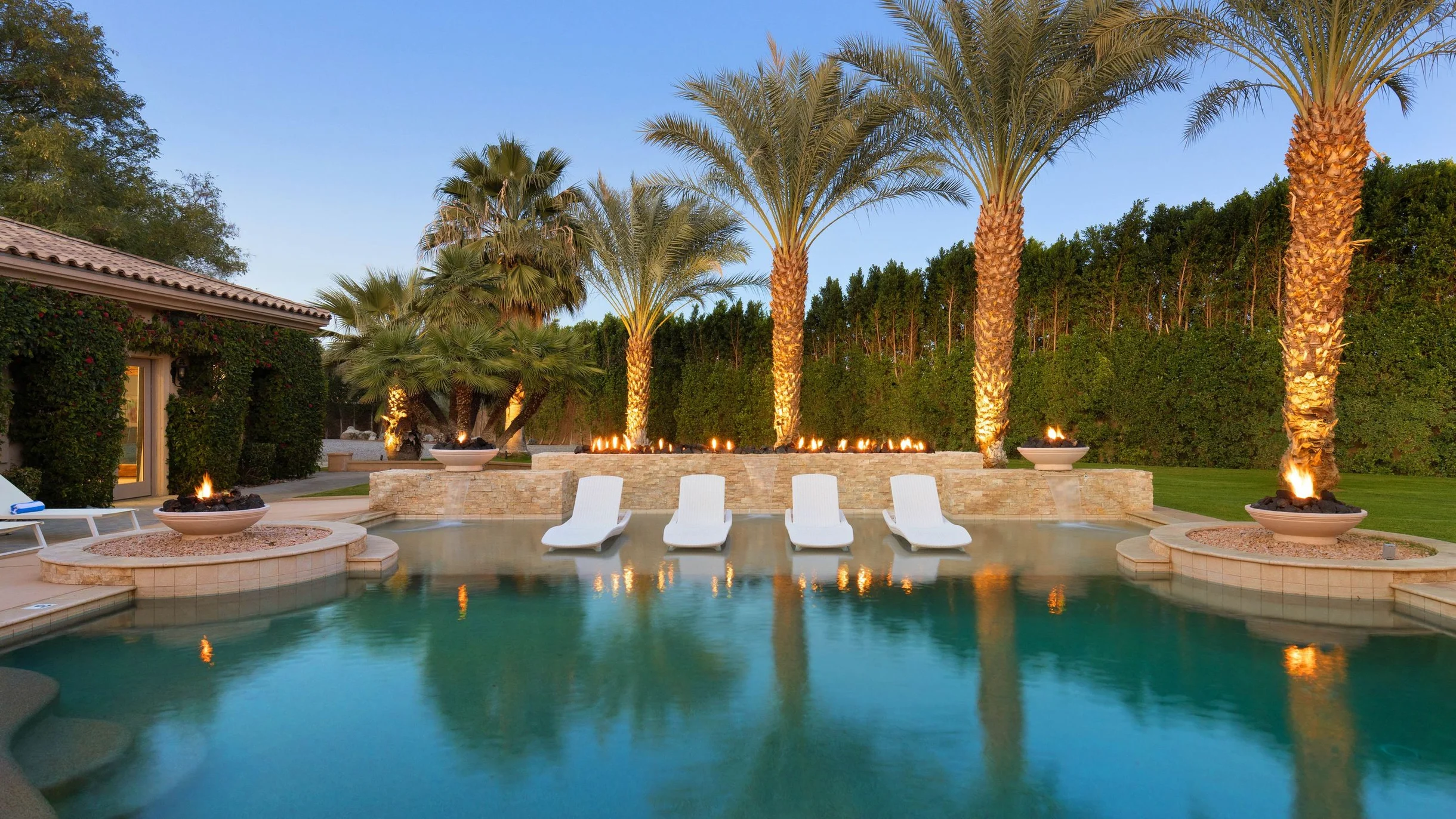 Wander Indio Date Palm #77