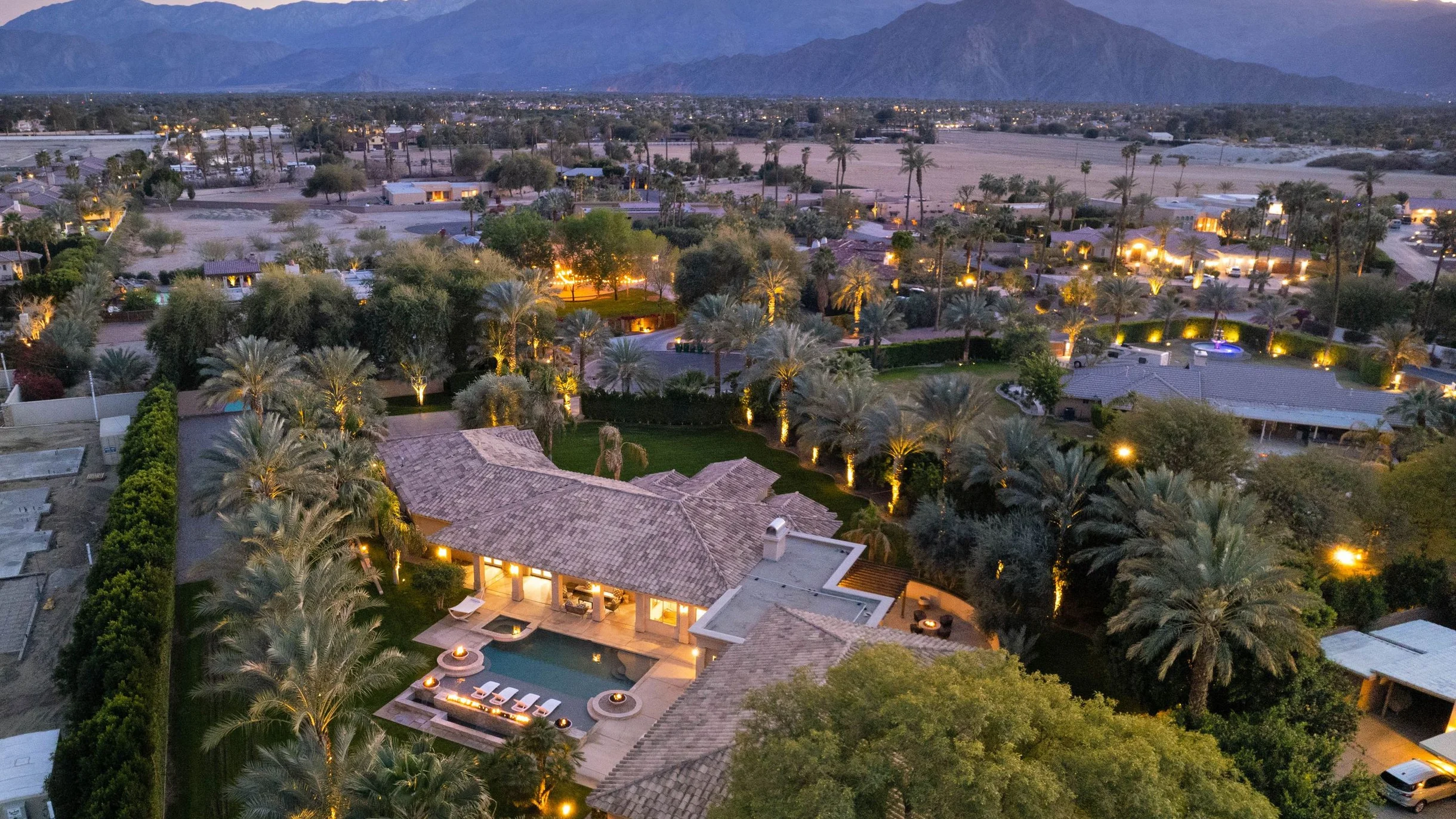 Wander Indio Date Palm #80