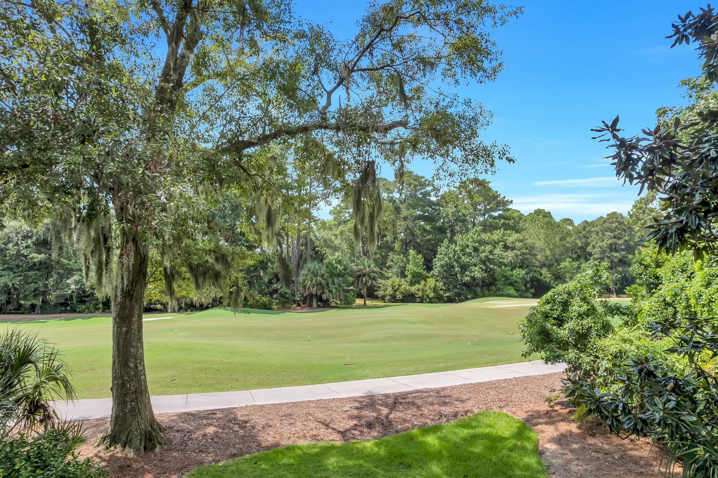 Wander Hilton Head Meadow #154