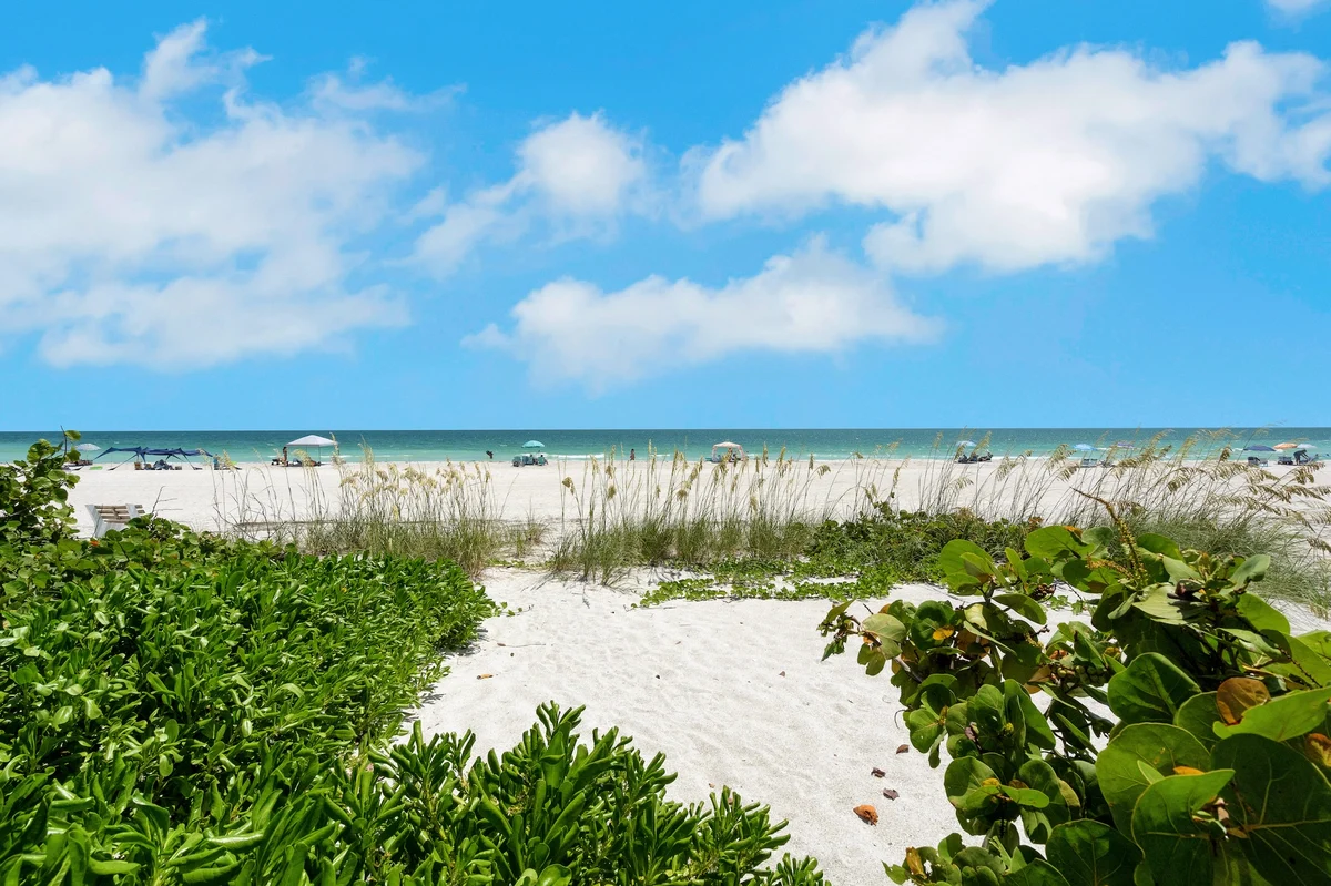 Wander Holmes Beach Golden #32