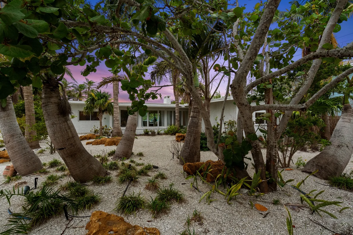 Wander Holmes Beach Golden #20