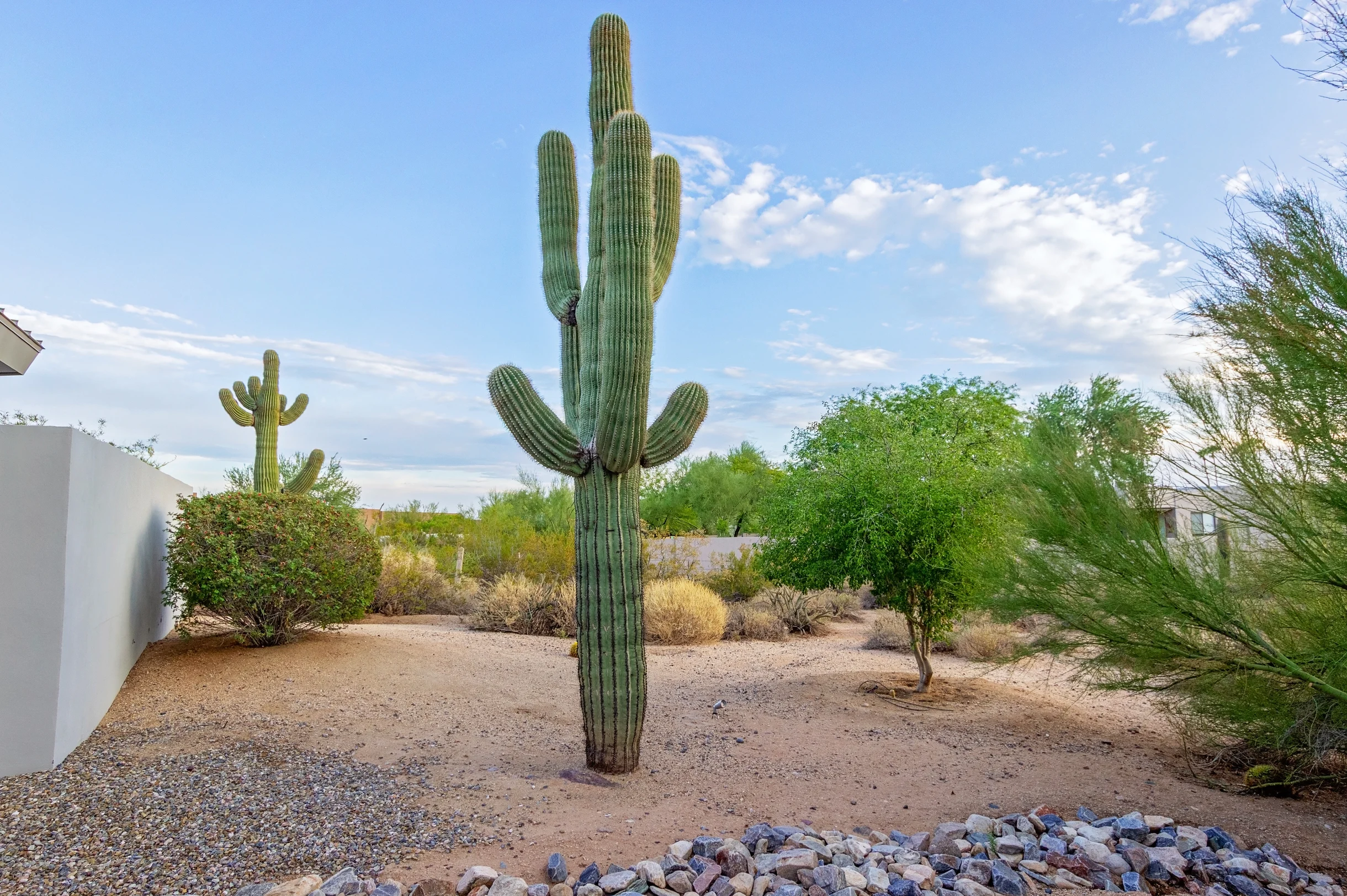 Wander Scottsdale Estate #175