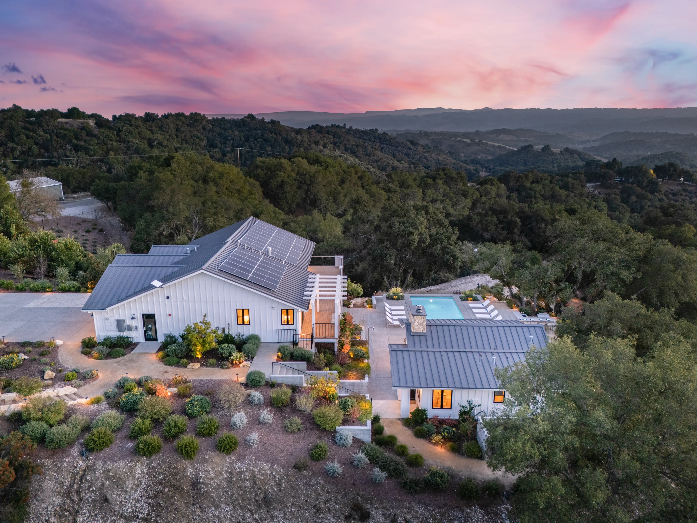 Wander Paso Robles Haze #79