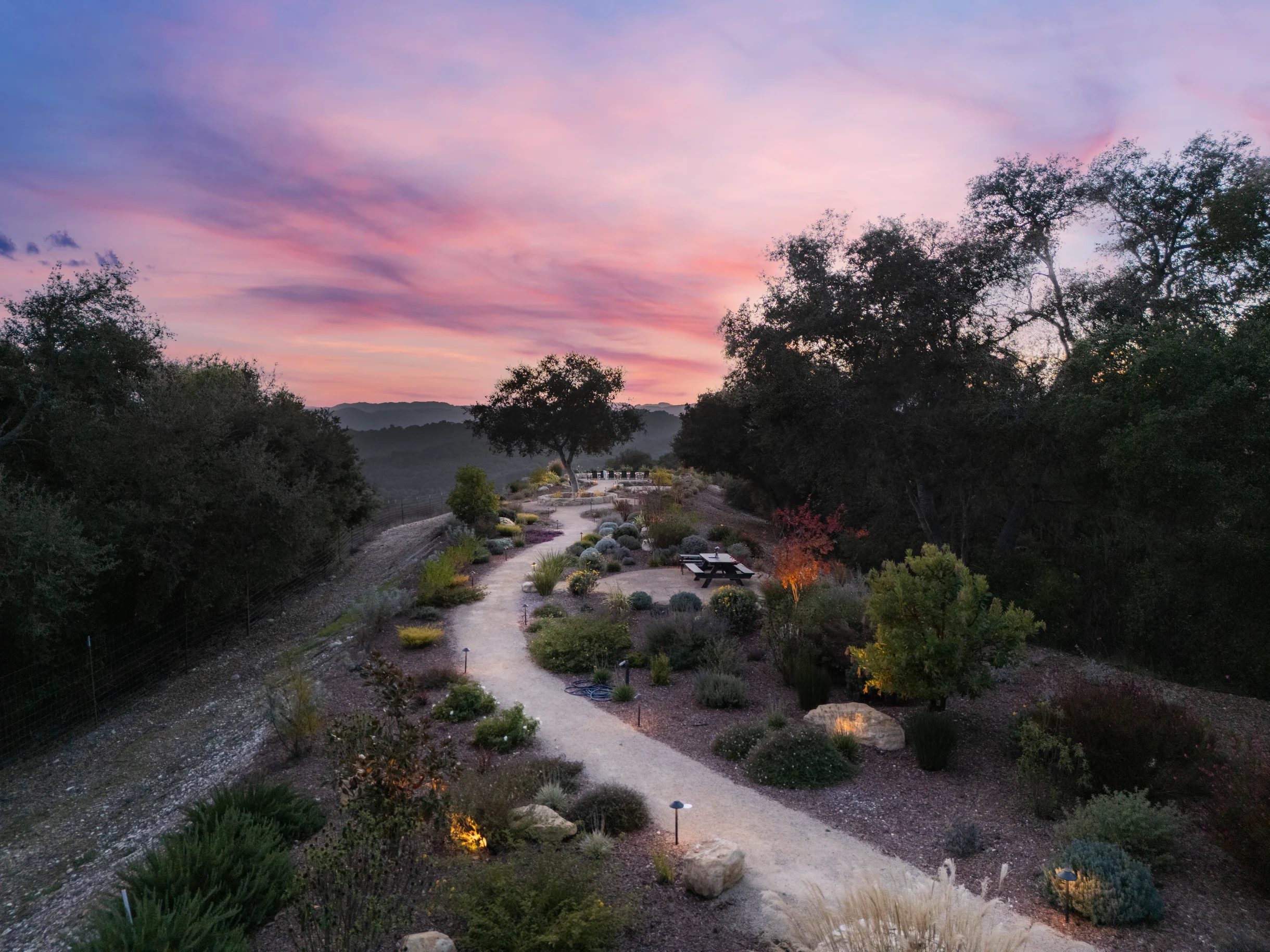 Wander Paso Robles Haze #34