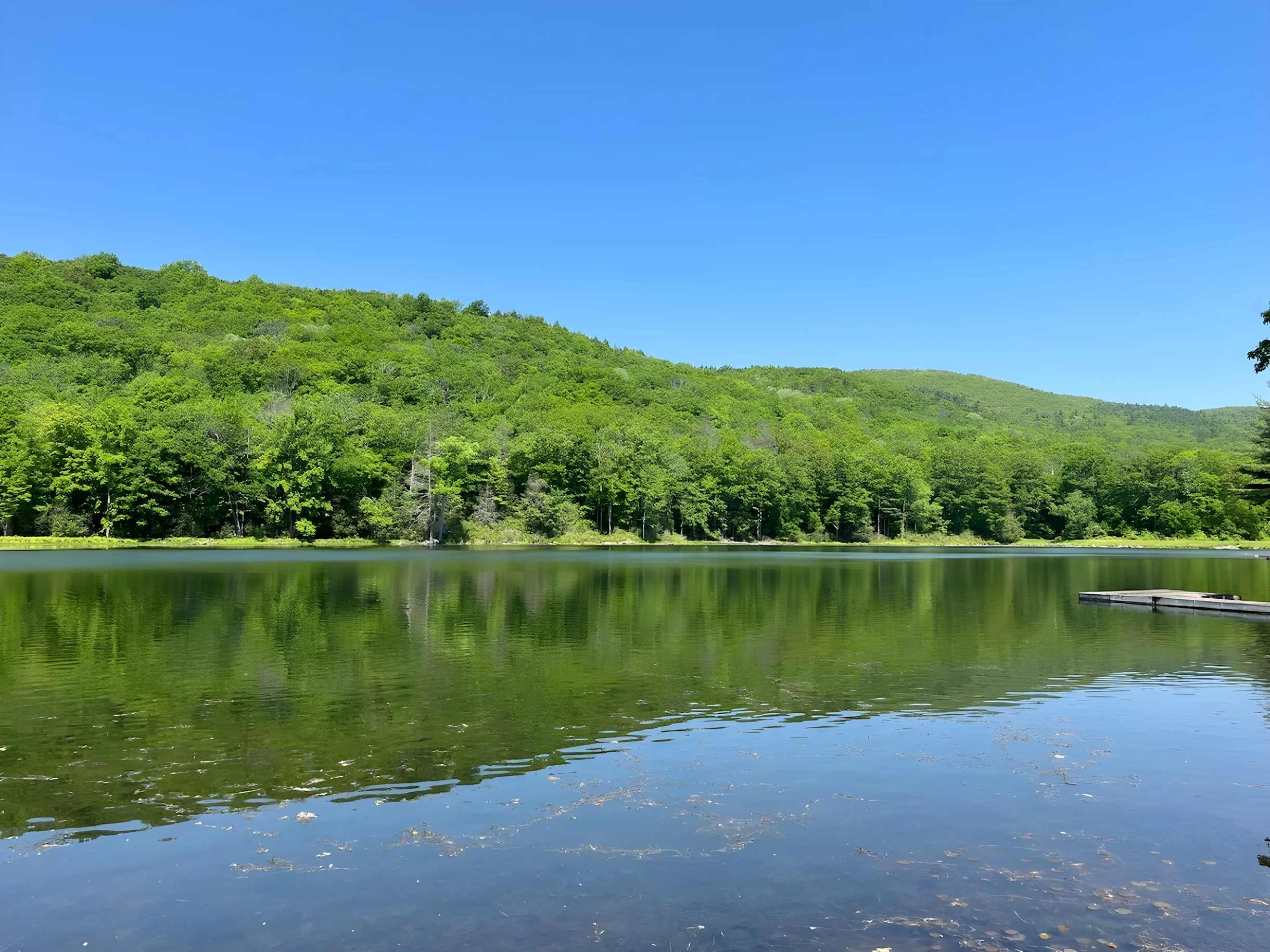 Home in Great Barrington property photo 2