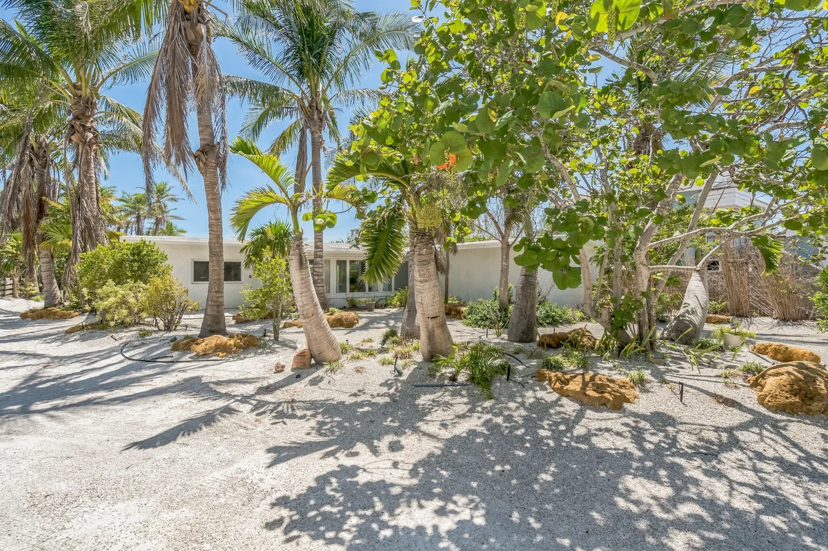 Wander Holmes Beach Golden #50