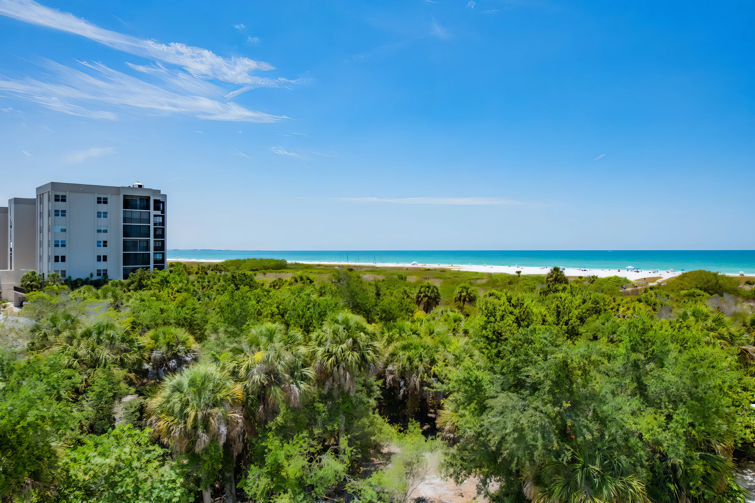 Wander Siesta Key Estate #56