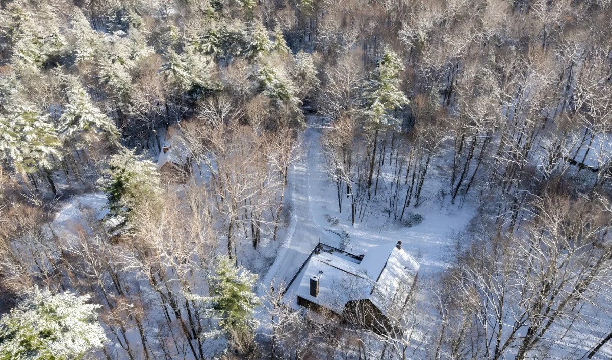 Wander Great Barrington Woods