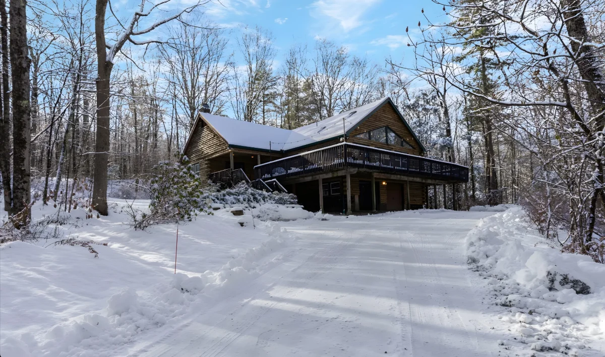 Wander Great Barrington Woods