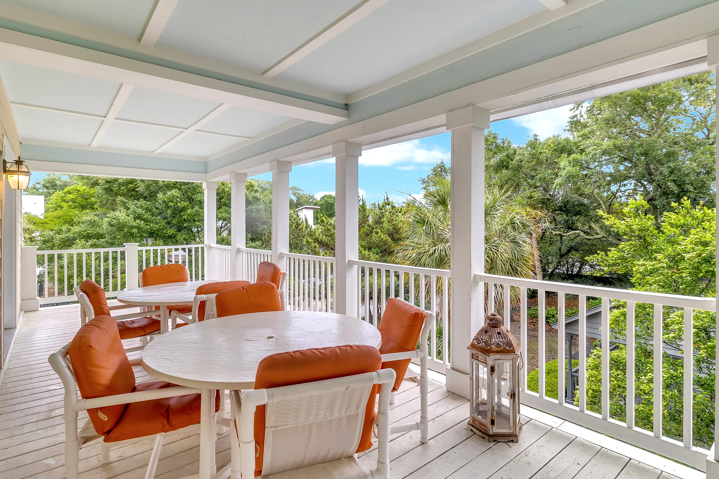 Wander Palms Waves #31