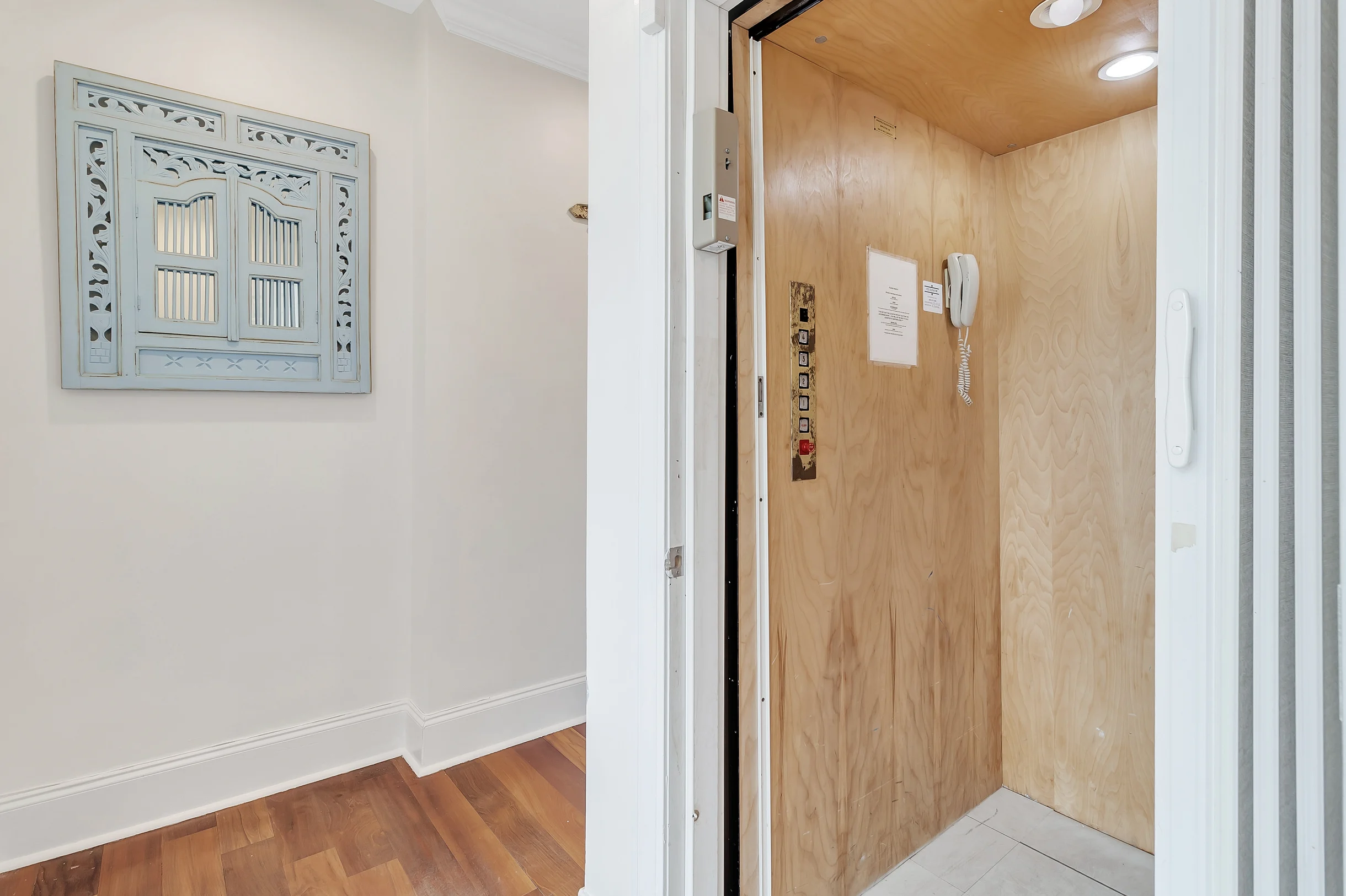 Wander Palms Waves #51