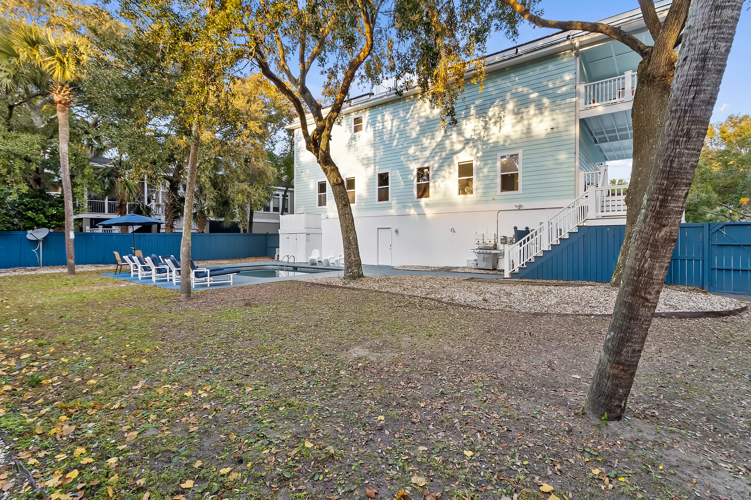 Wander Palms Waves #36