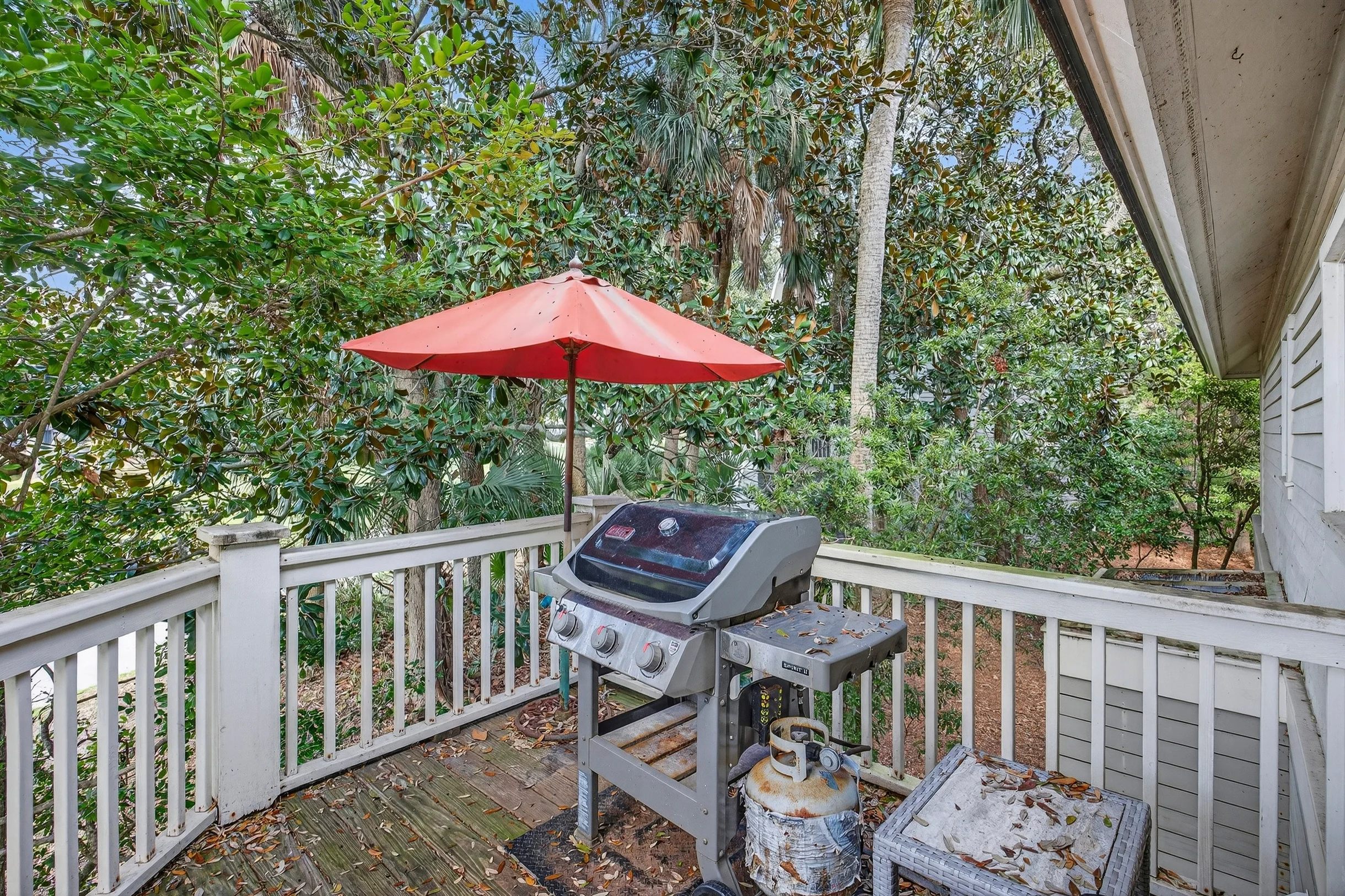 Wander Kiawah Marsh #46