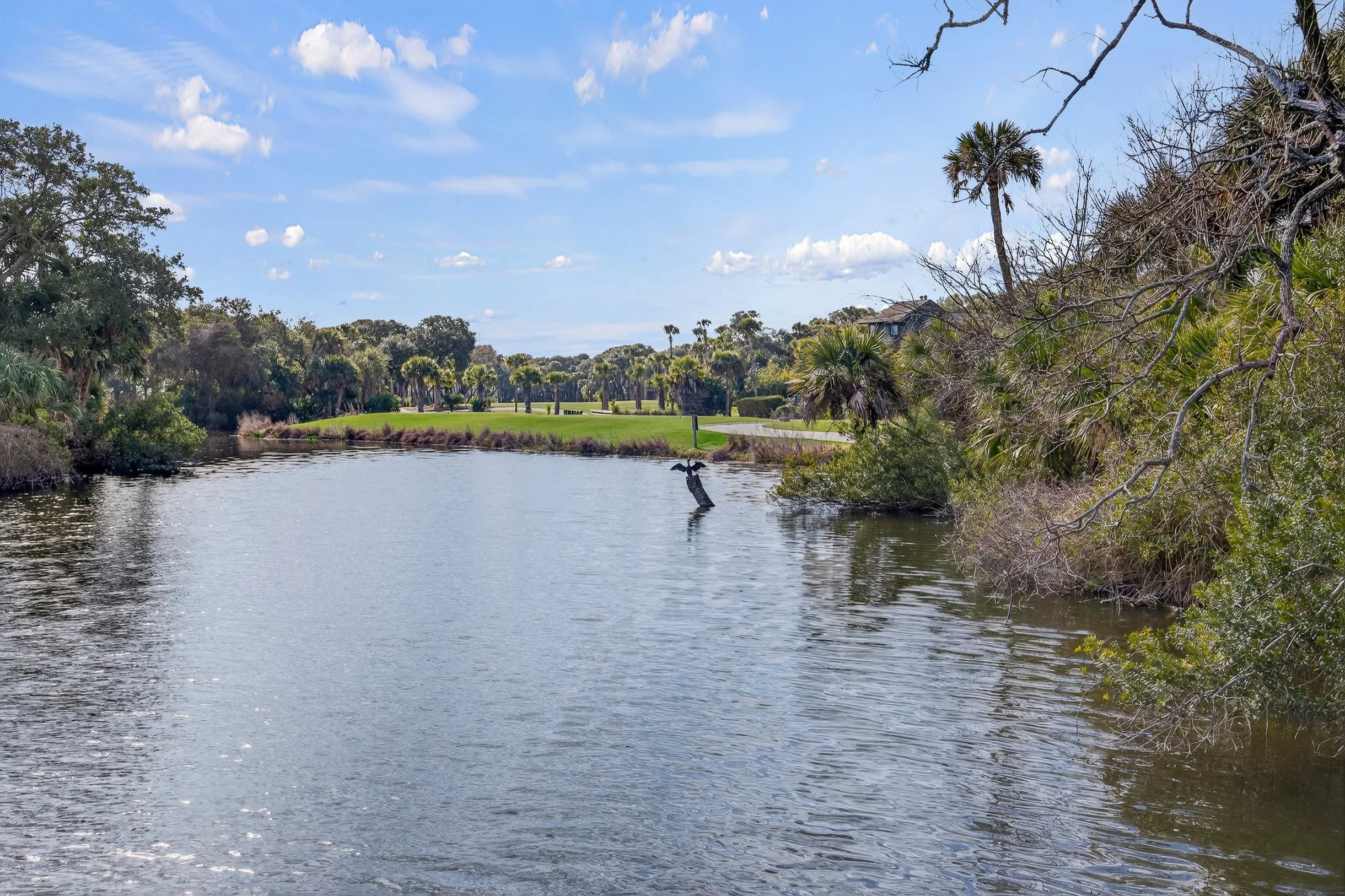 Wander Kiawah Marsh #31