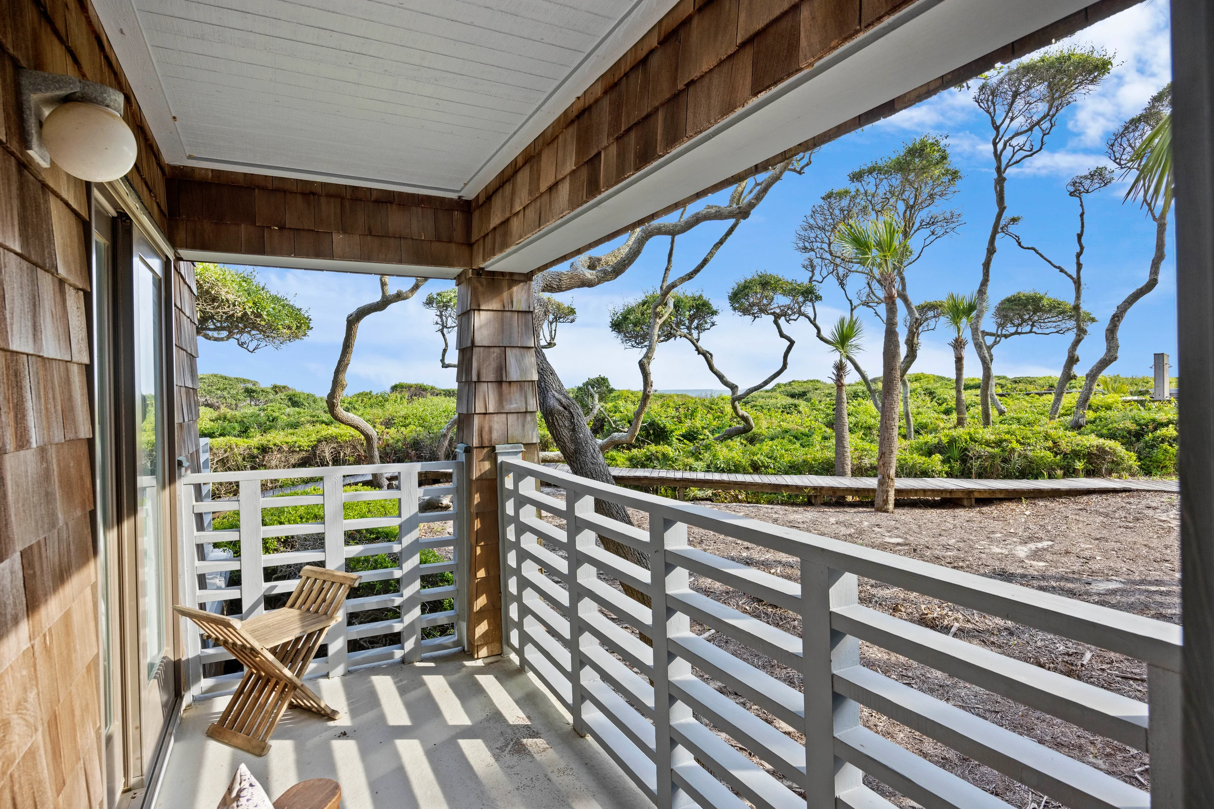 Wander Kiawah Palmettos #41