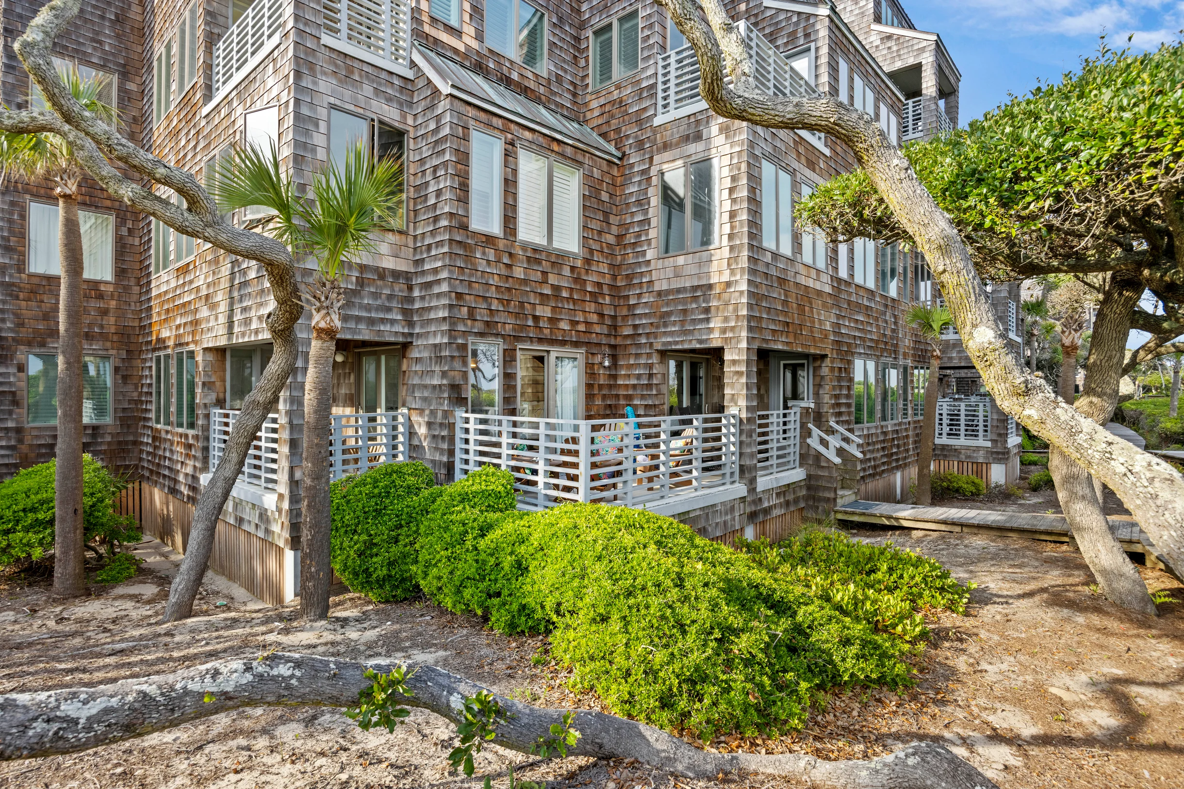 Wander Kiawah Palmettos #5