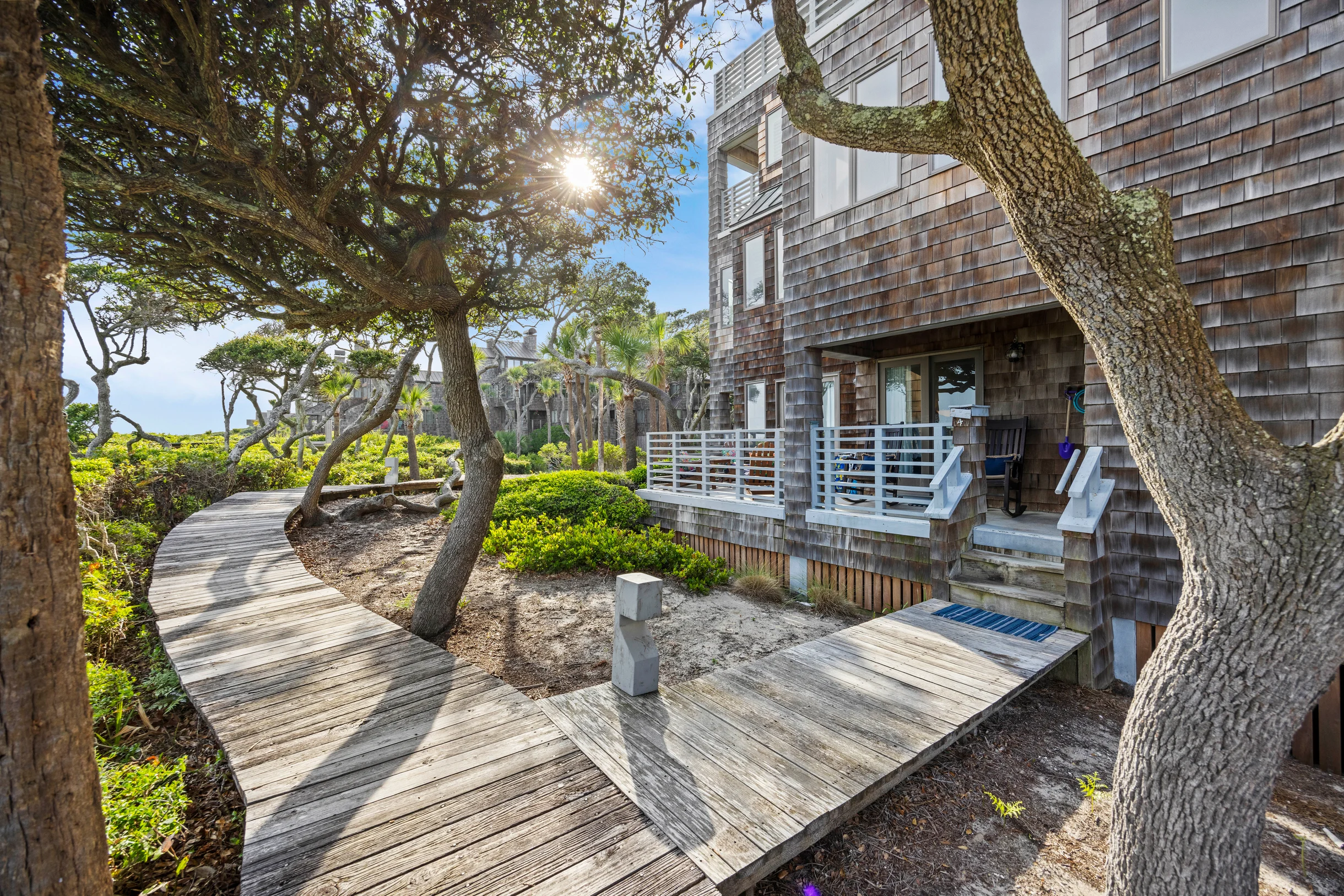 Wander Kiawah Palmettos #28