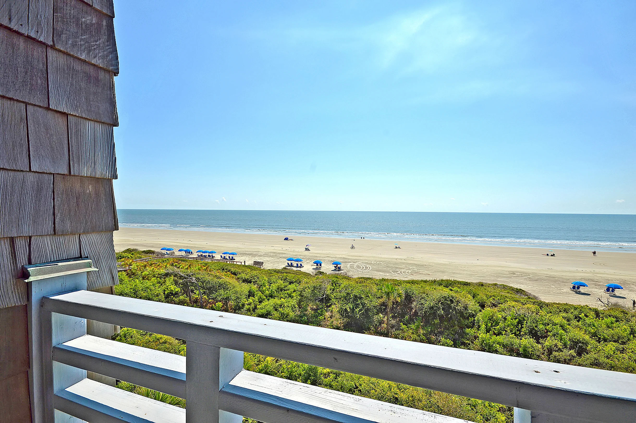 Wander Kiawah Forest #16