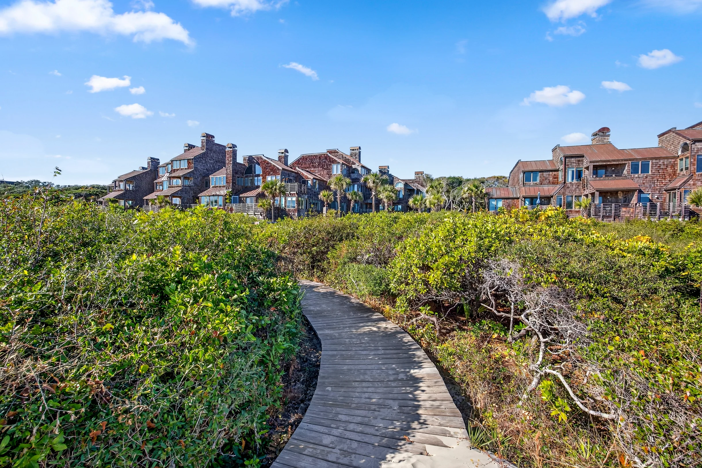 Wander Kiawah Forest #5