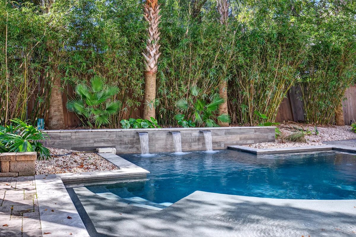 Wander Palms Driftwood