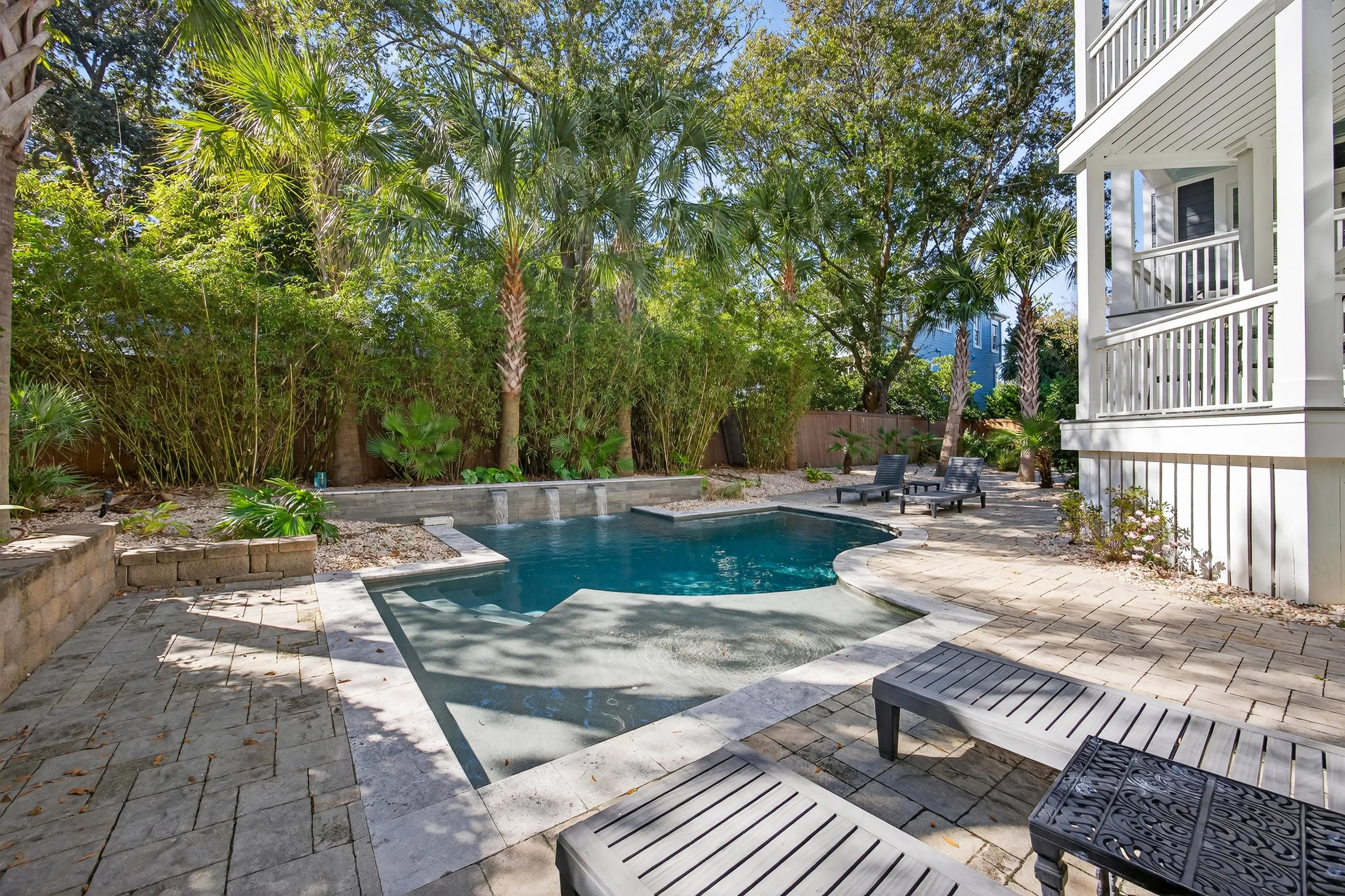 Wander Palms Driftwood #5