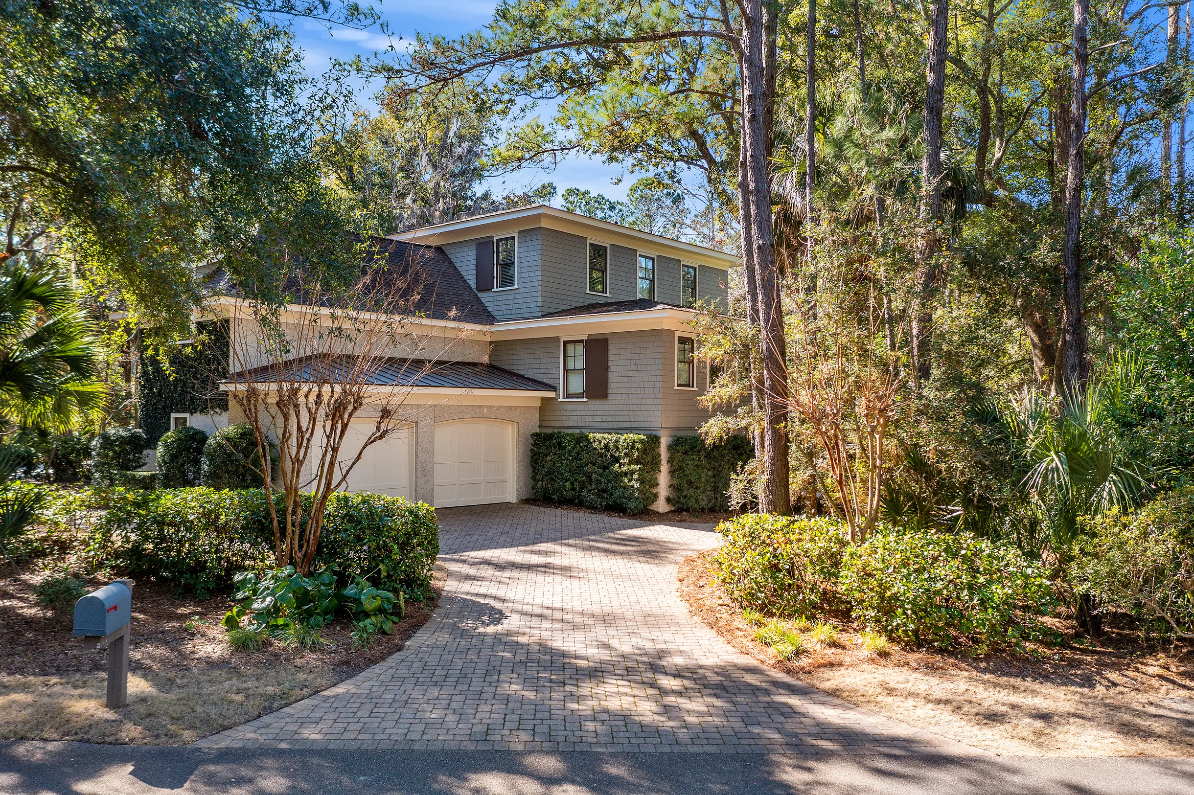 Wander Kiawah Island Woods #4