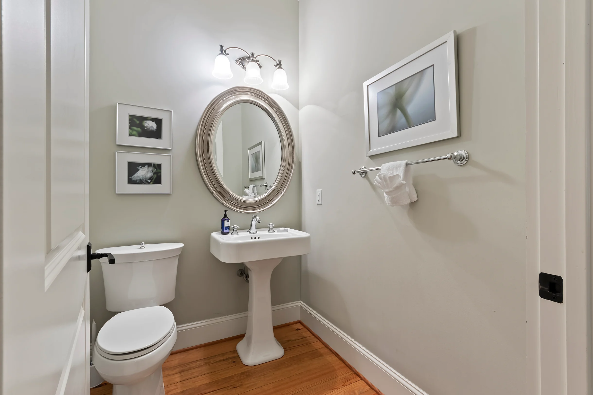 Wander Kiawah Island Woods #12