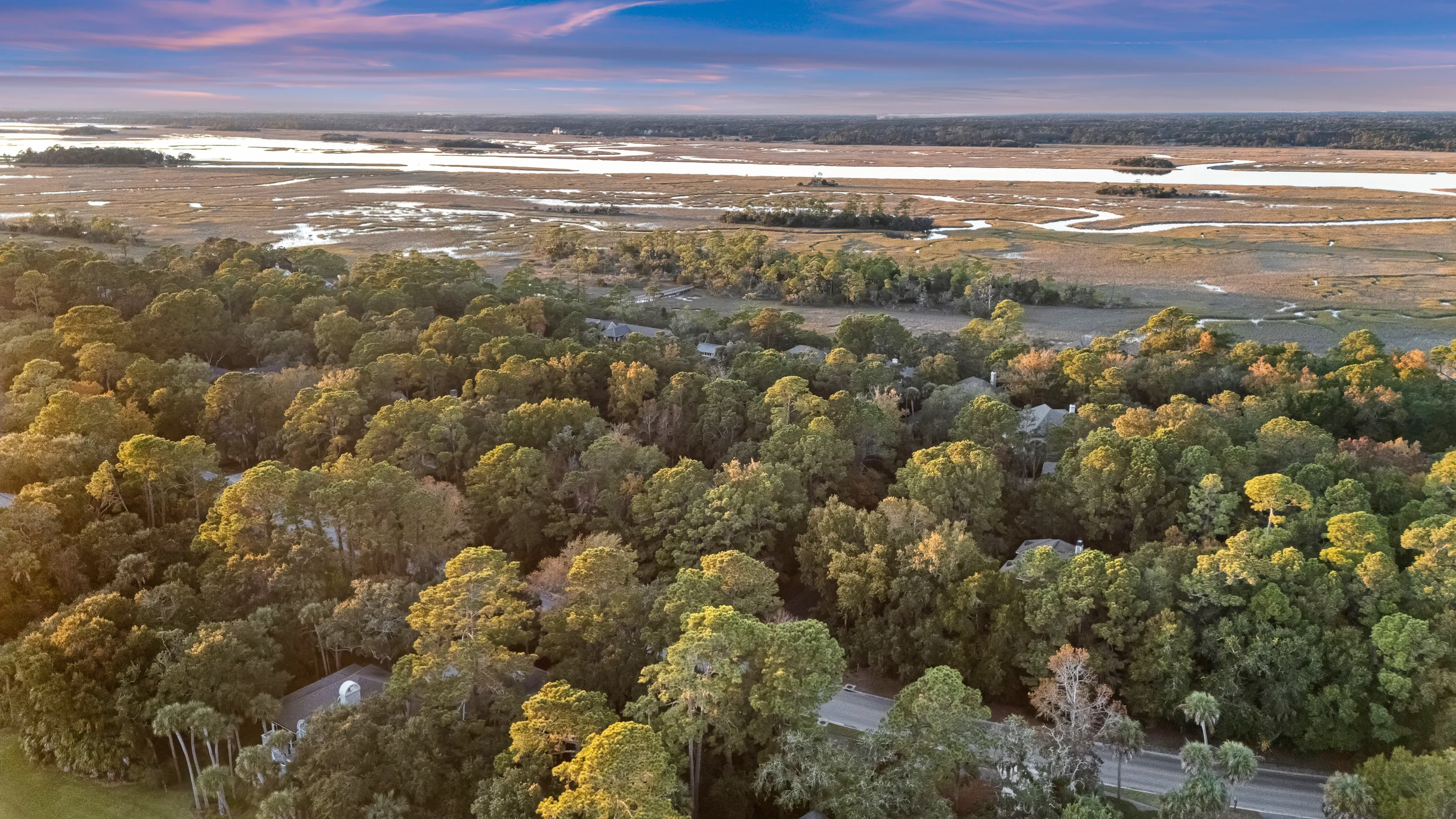 Wander Kiawah Island Woods #5