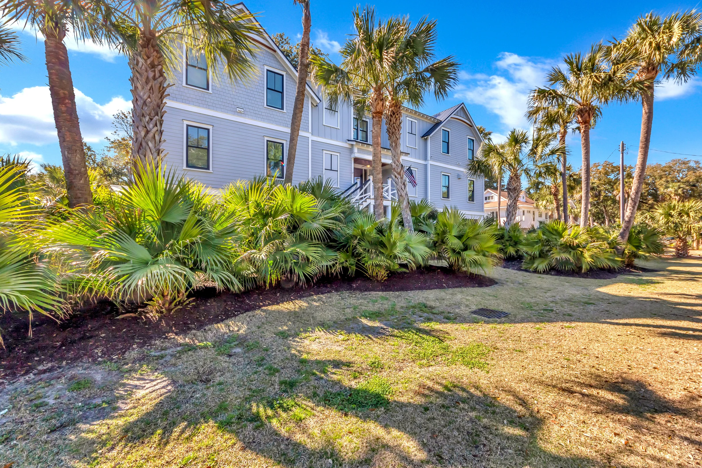 Wander Isle Palms Golden #5