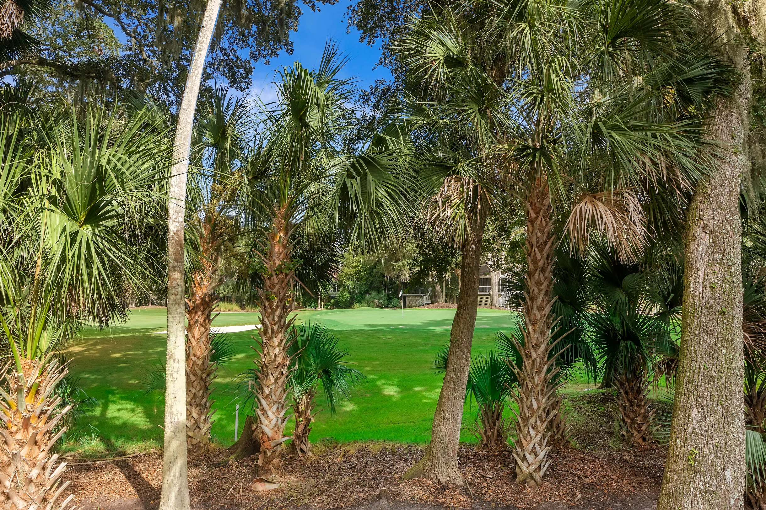 Wander Seabrook Dunes #5