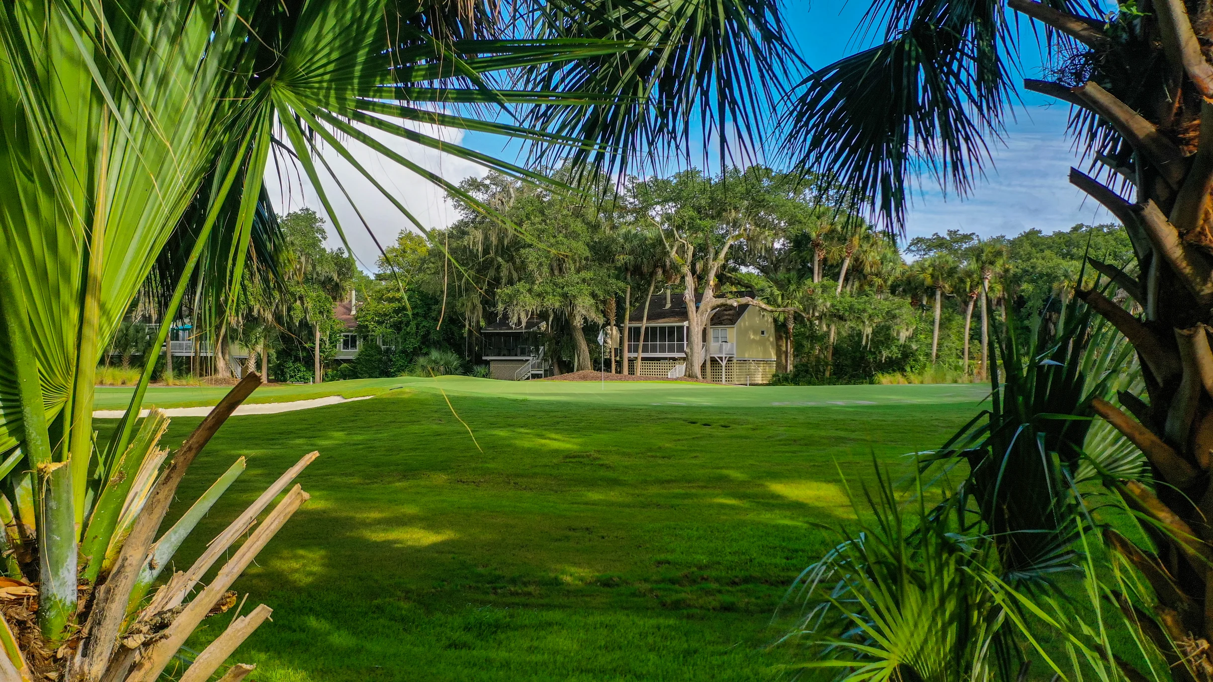 Wander Seabrook Dunes #54