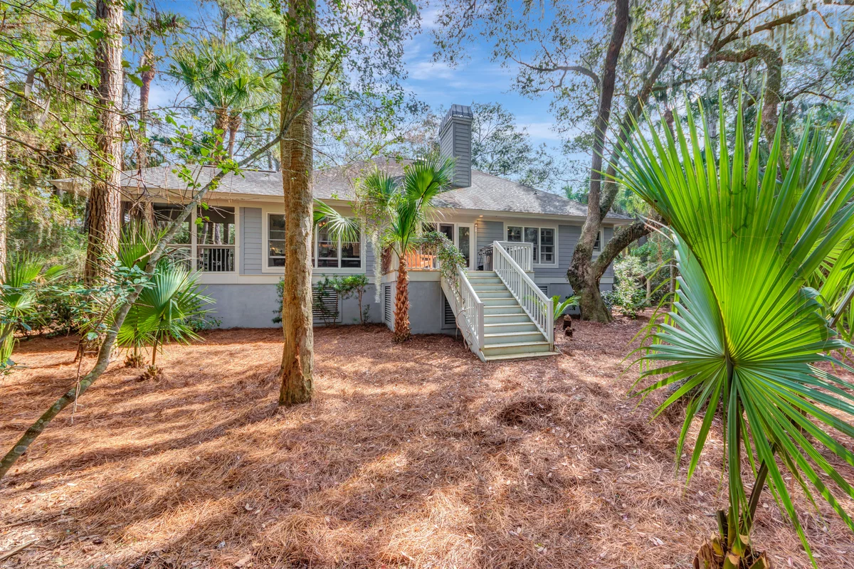 Wander Seabrook Palmettos