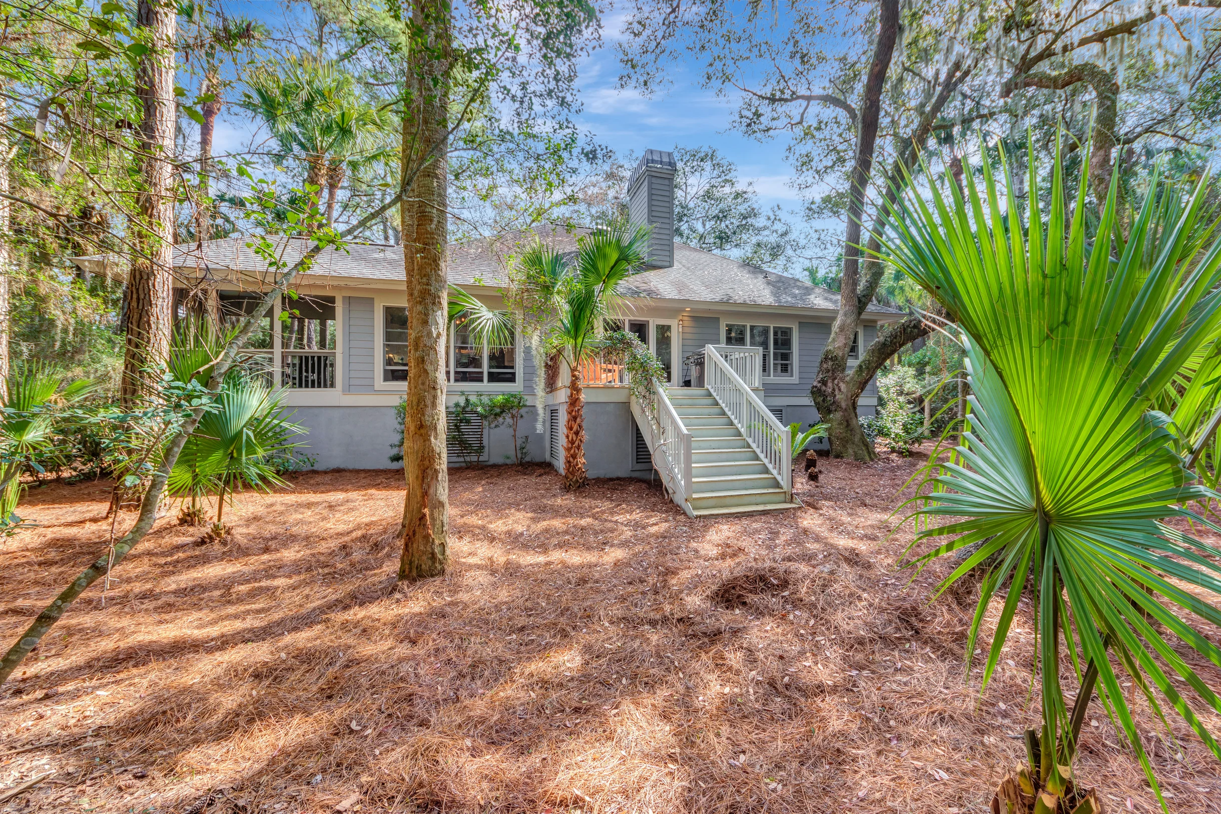 Wander Seabrook Palmettos #4