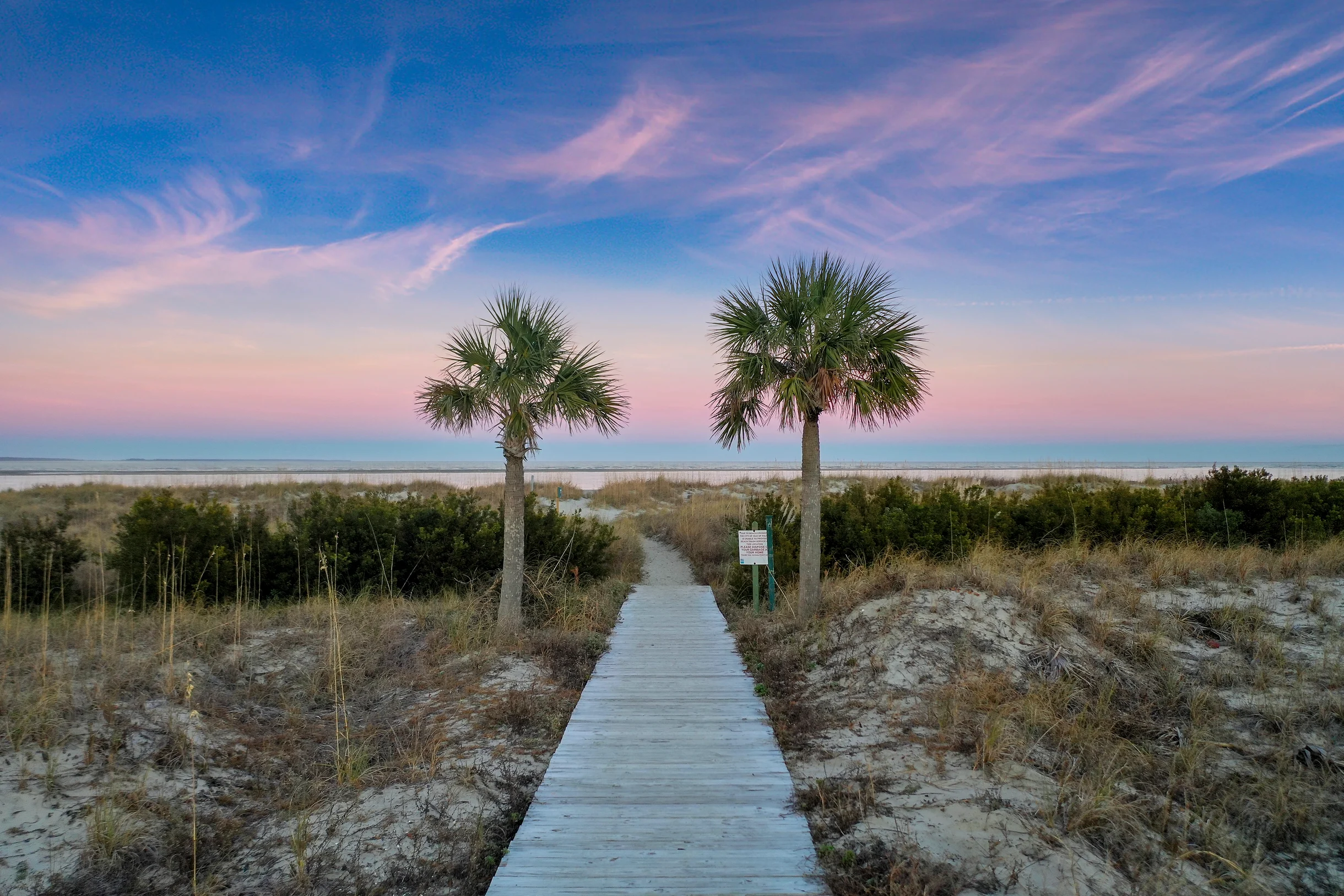 Wander Ocean Palms Drift #50