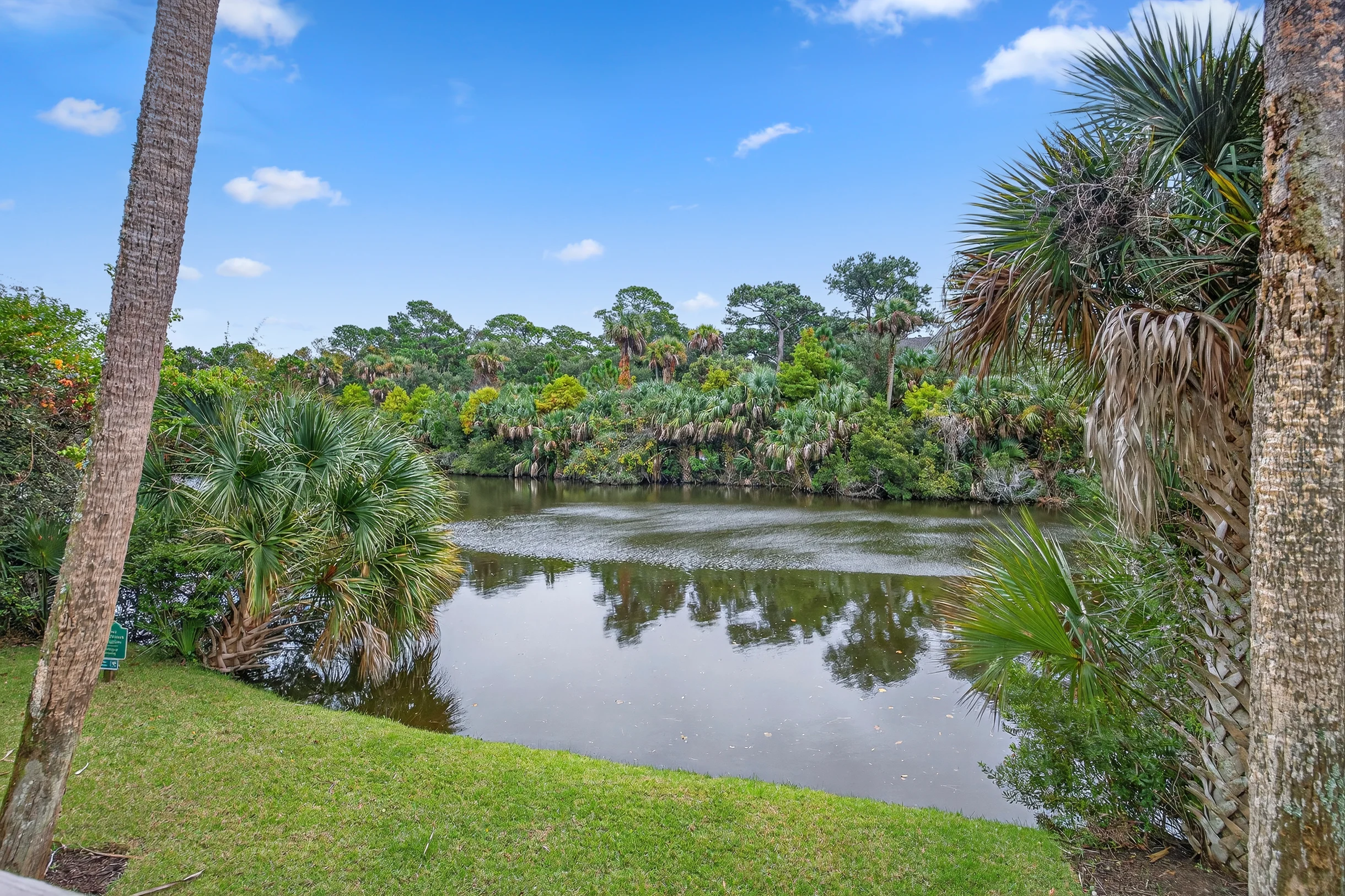 Wander Kiawah Island Pond #26