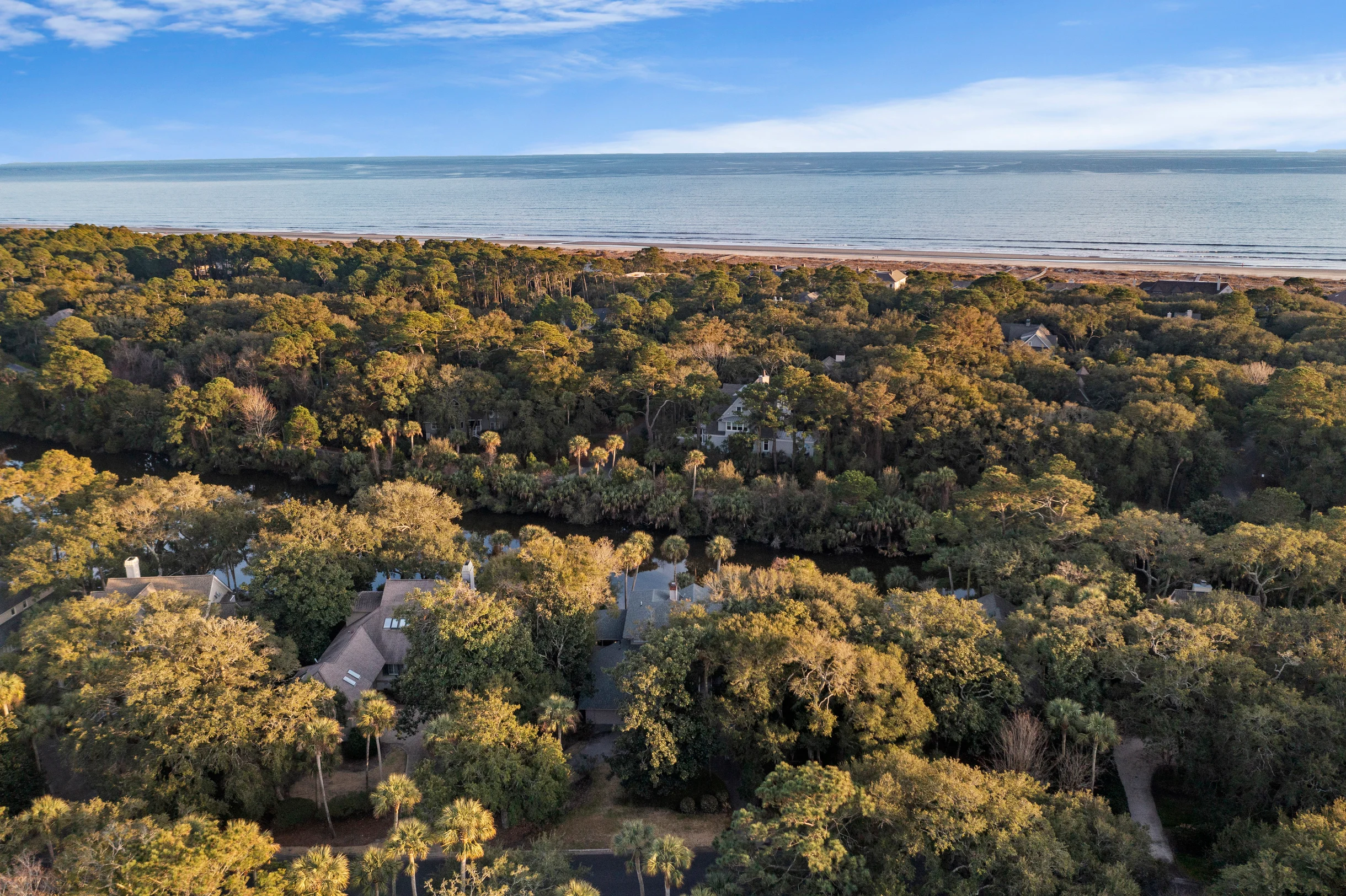 Wander Kiawah Island Pond #5