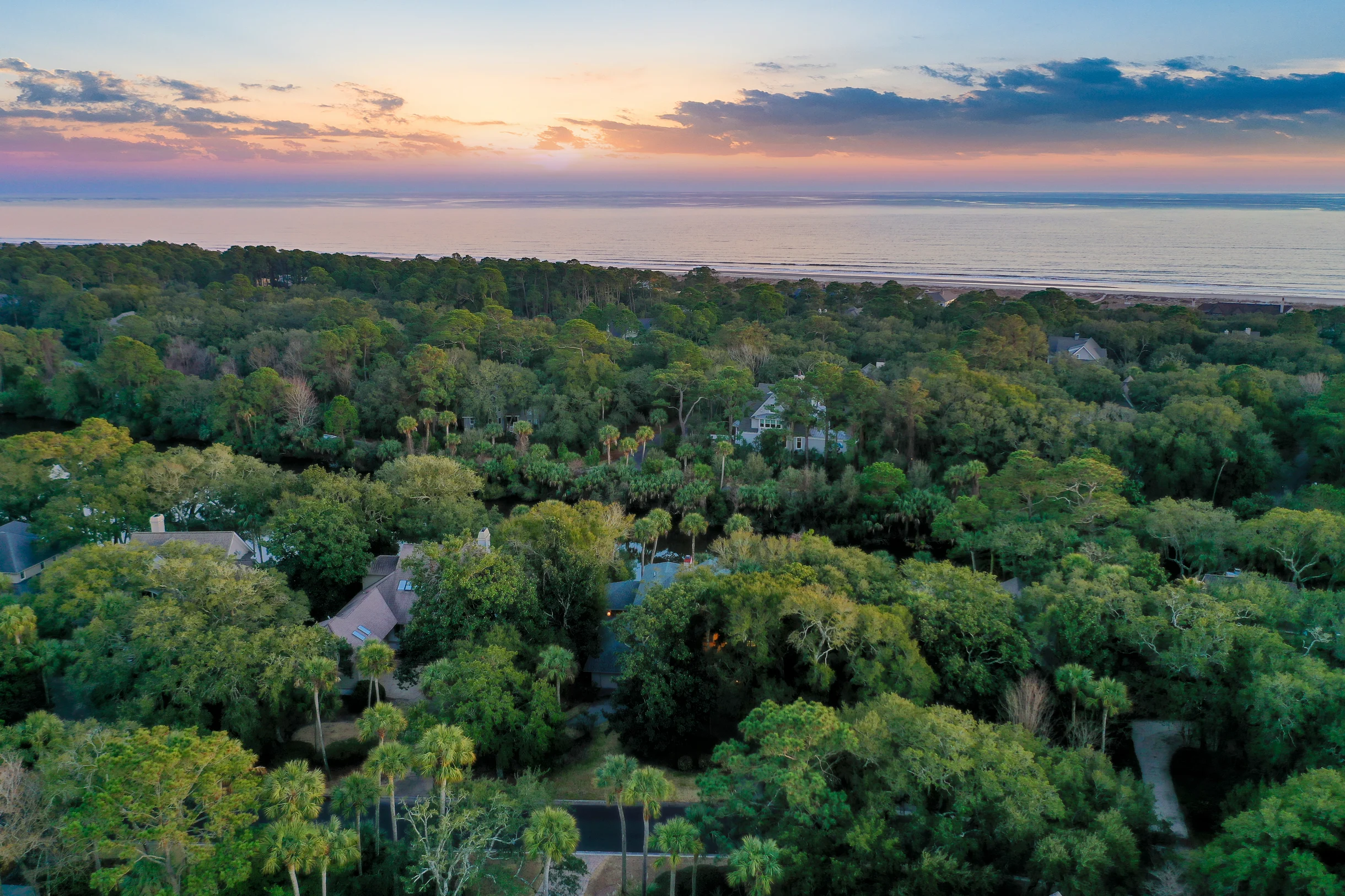 Wander Kiawah Island Pond #4