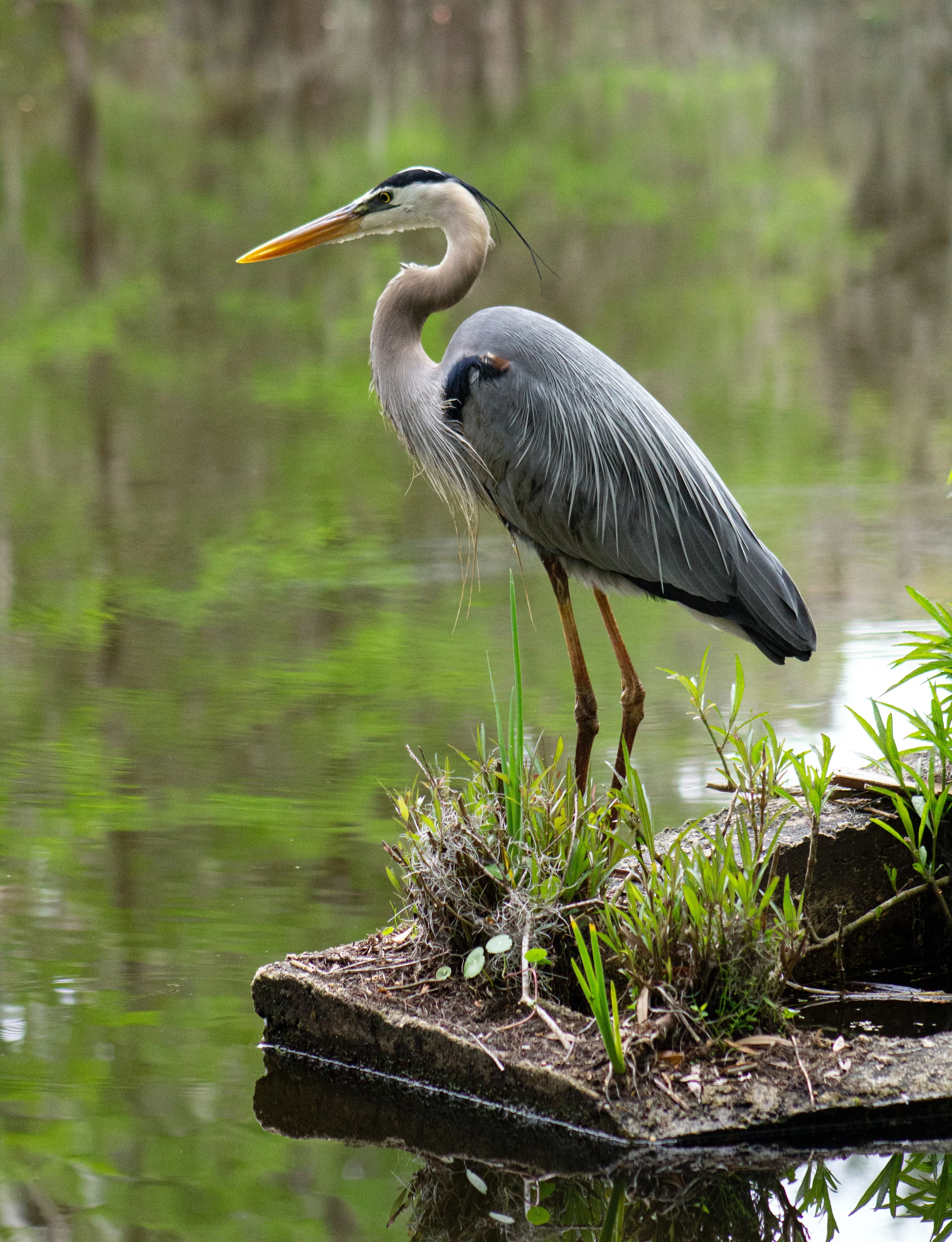 Wander Kiawah Retreat #41