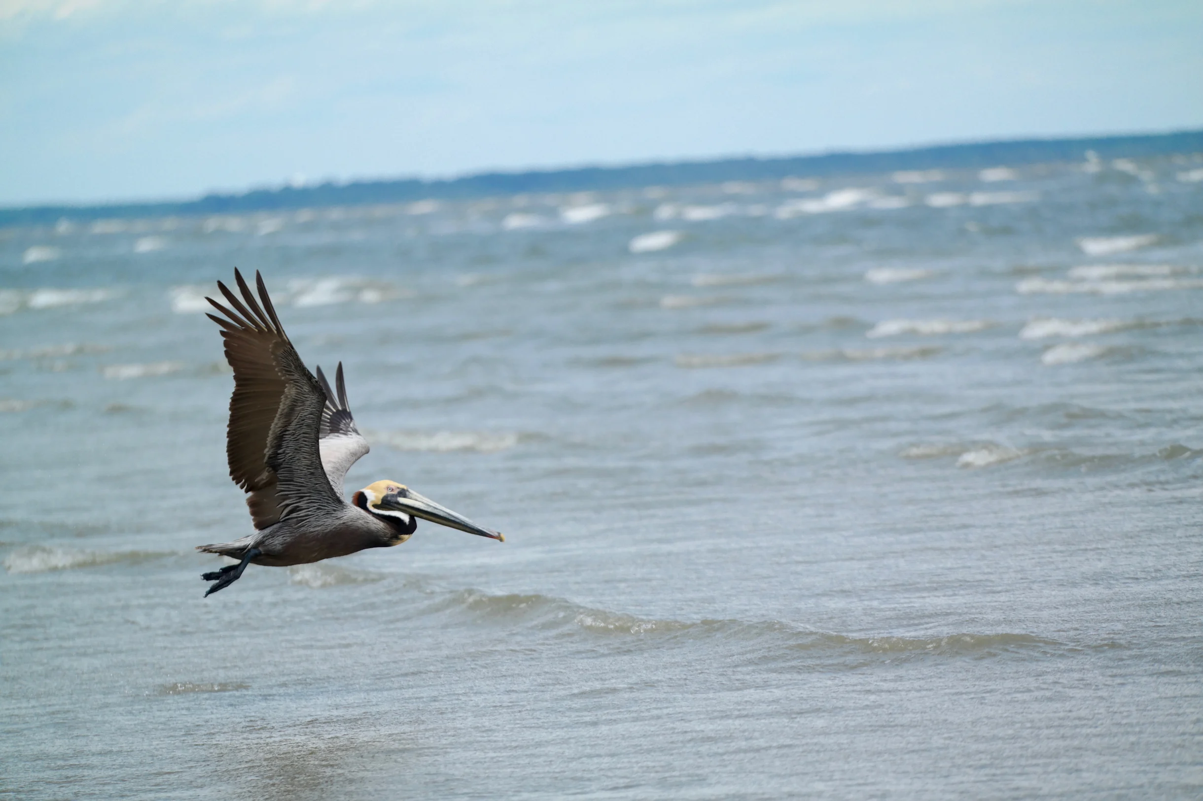 CUR767: 767 Curlew Court #49