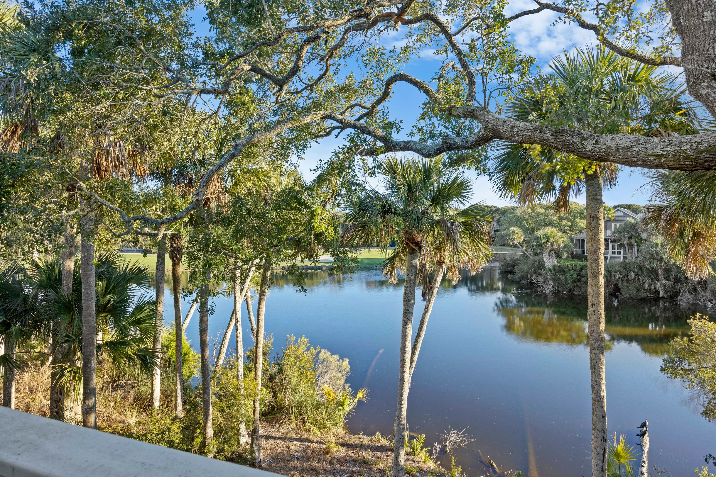 Wander Kiawah Tidelands #5