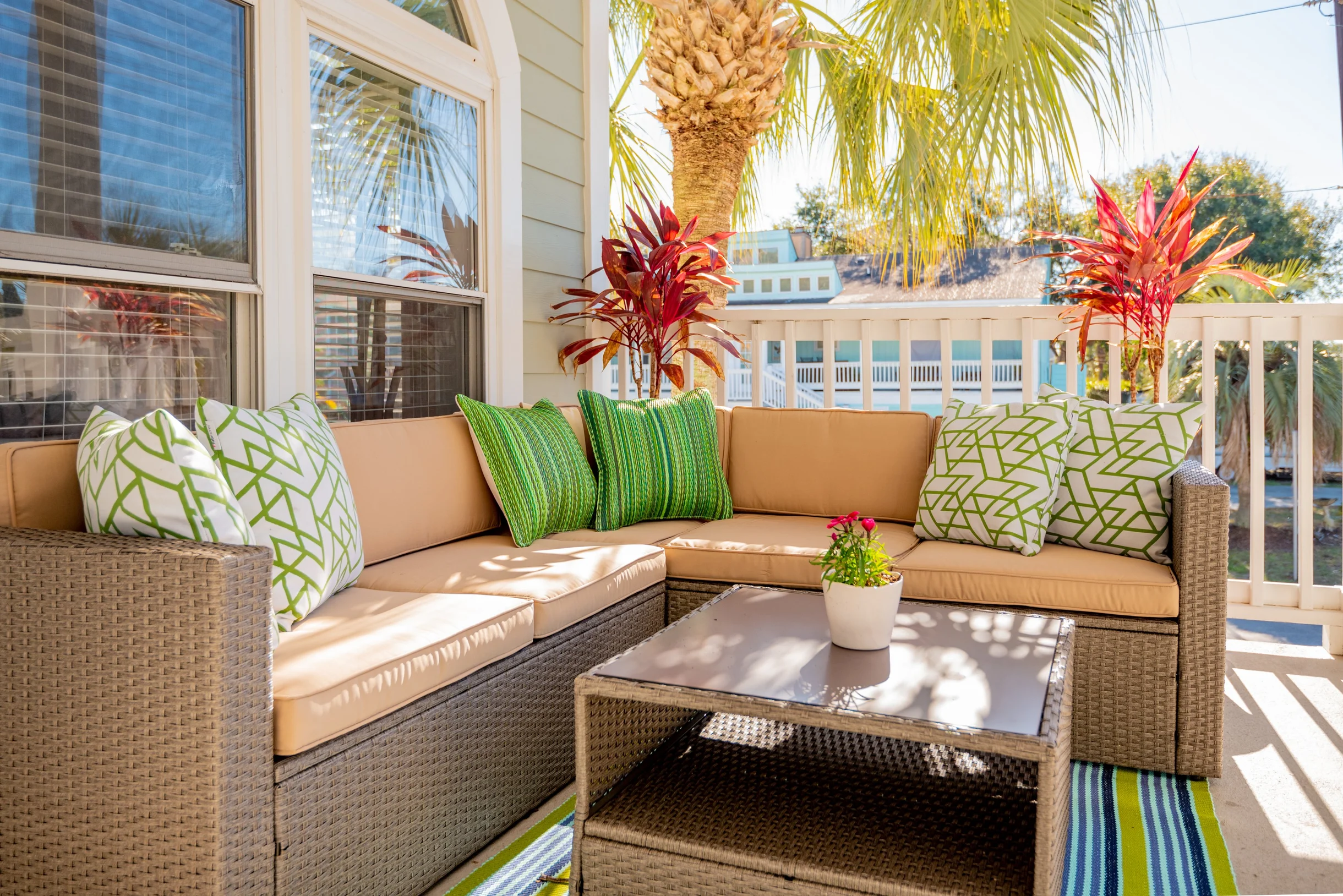 Wander Palms Island Glow #32