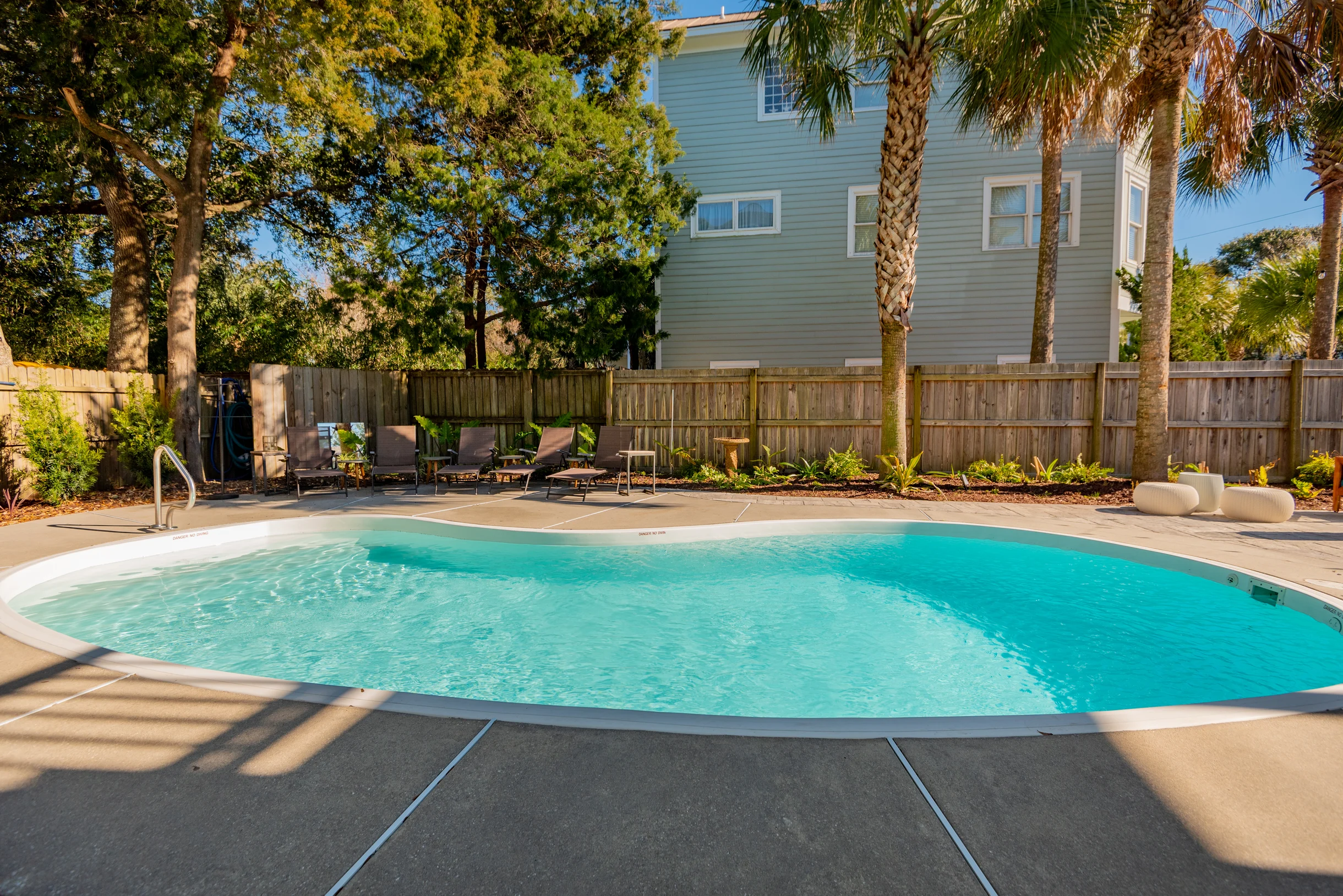 Wander Palms Island Glow #41